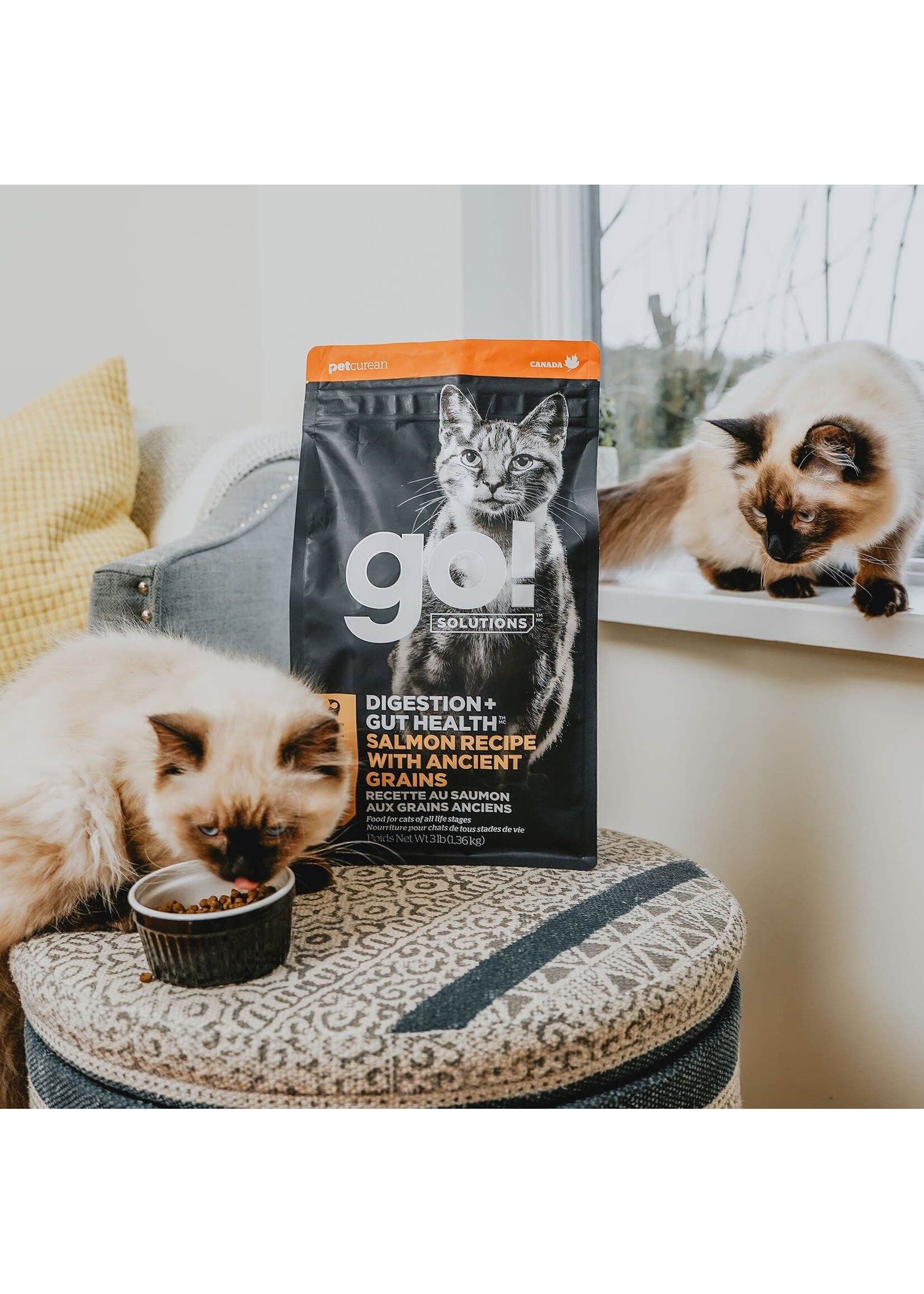 GO! SOLUTIONS GO! SOLUTION CHAT DIGESTION ET SANTÉ INTESTINALE GRAINS ANCIENS AU SAUMON