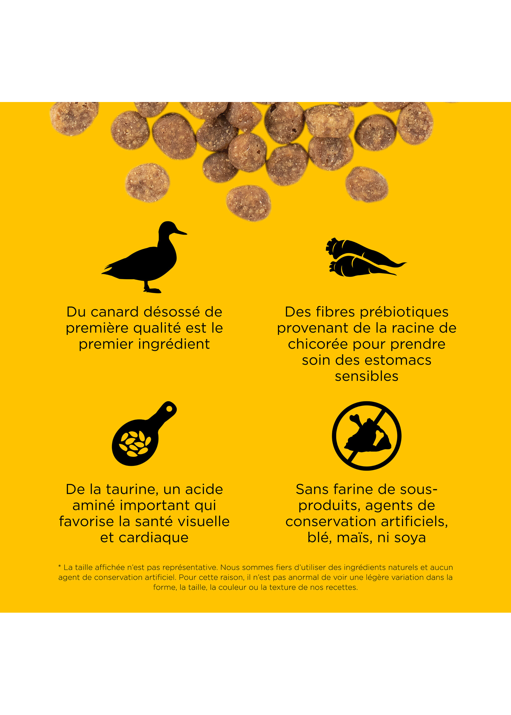 GO! SOLUTIONS GO! SOLUTION SENSITIVE CHAT AU CANARD SANS GRAINS