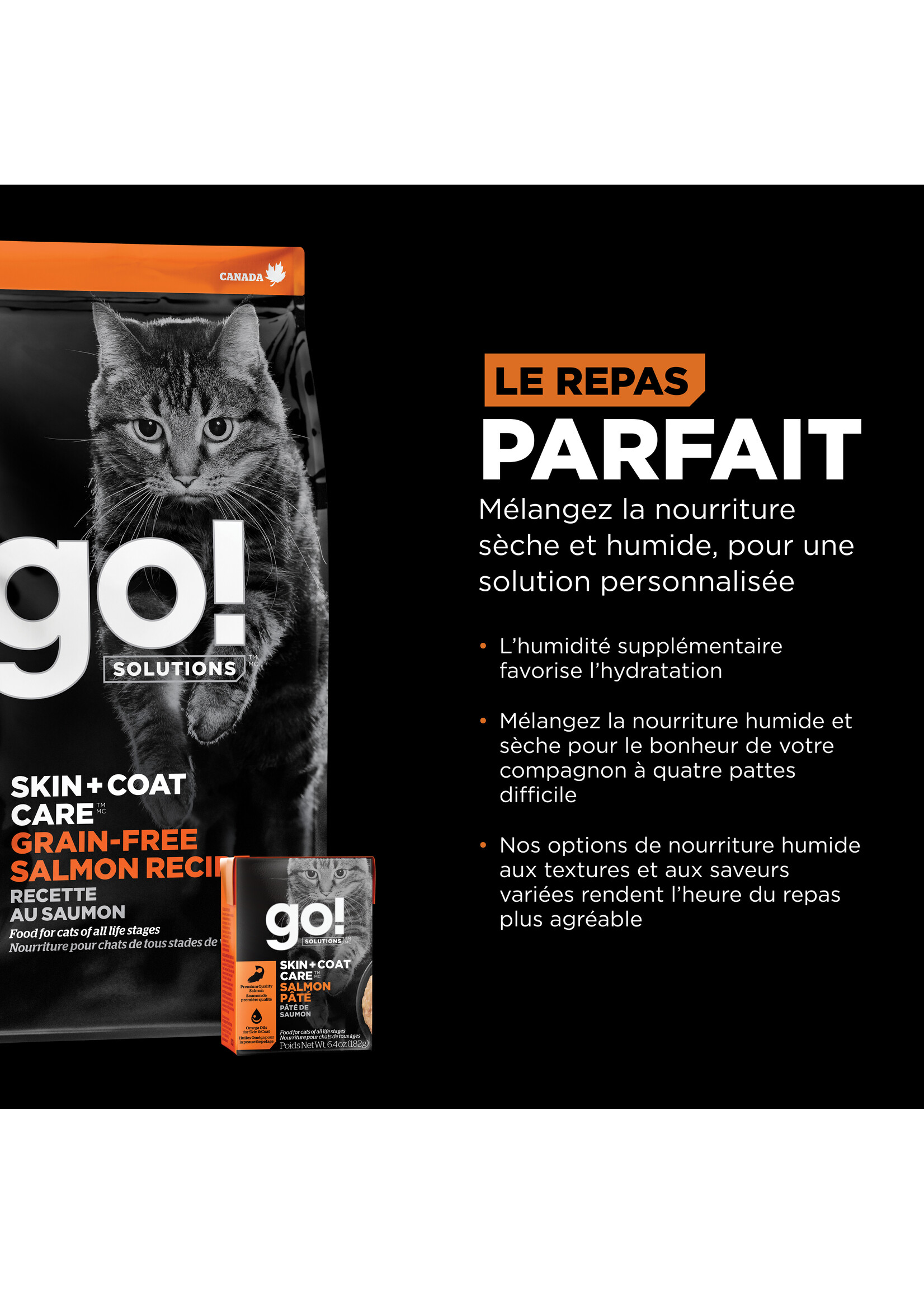 GO! SOLUTIONS GO! SOLUTION CHAT PEAU ET PELAGE AU SAUMON SANS GRAINS
