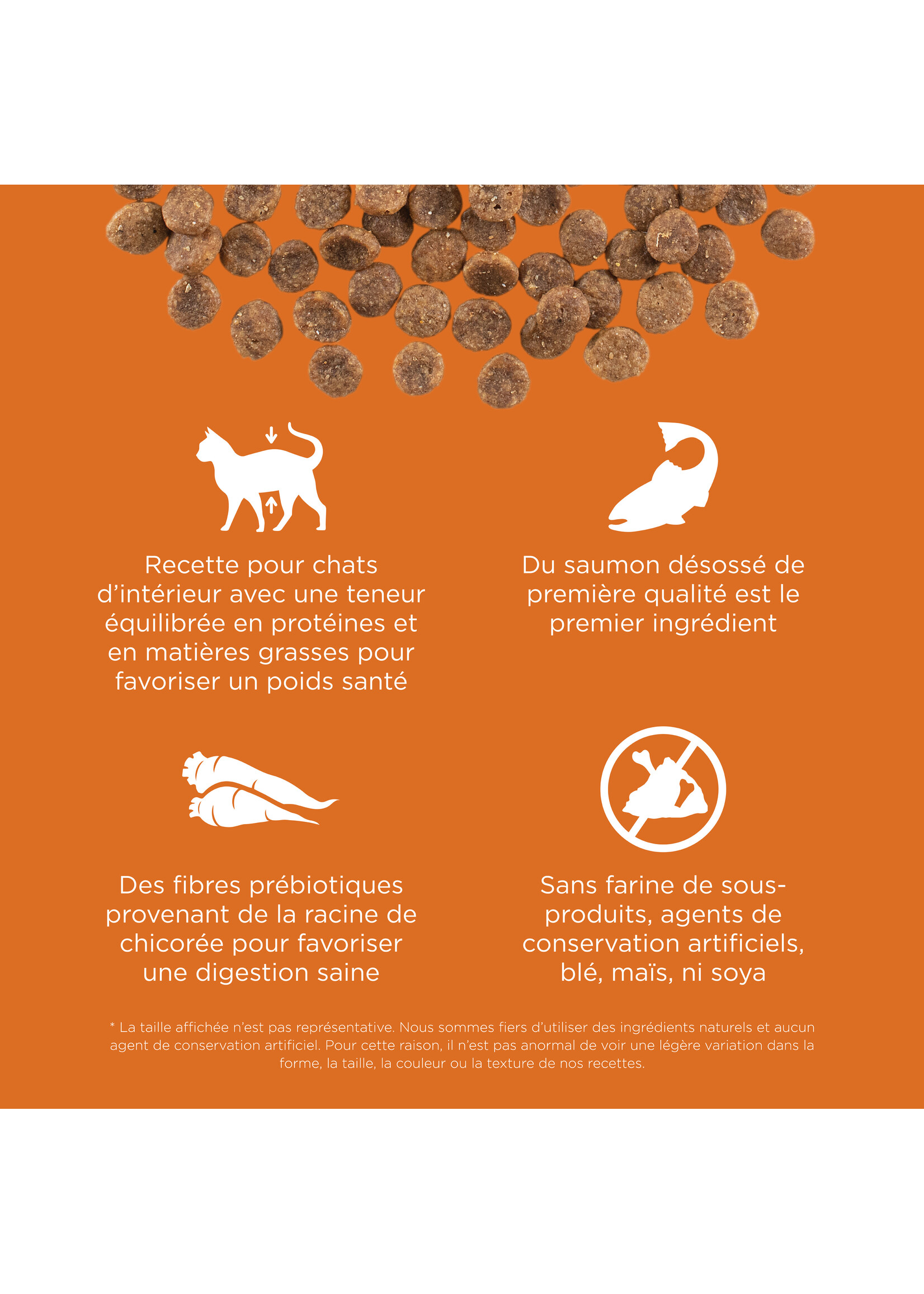 GO! SOLUTIONS GO! SOLUTION CHAT PEAU ET PELAGE AU SAUMON SANS GRAINS