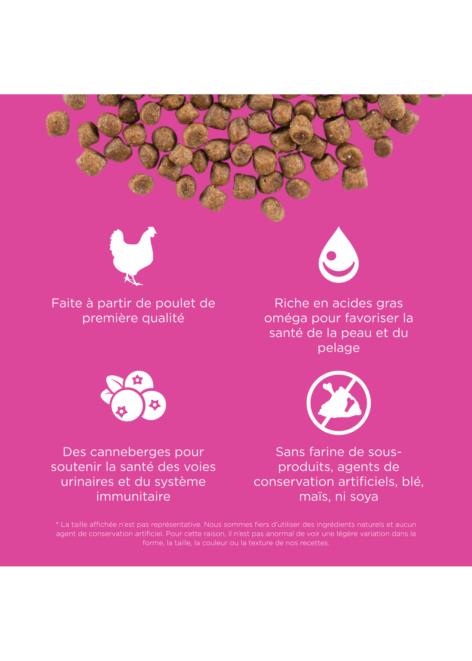 GO! SOLUTIONS GO! SOLUTION CHAT PEAU ET PELAGE AU POULET