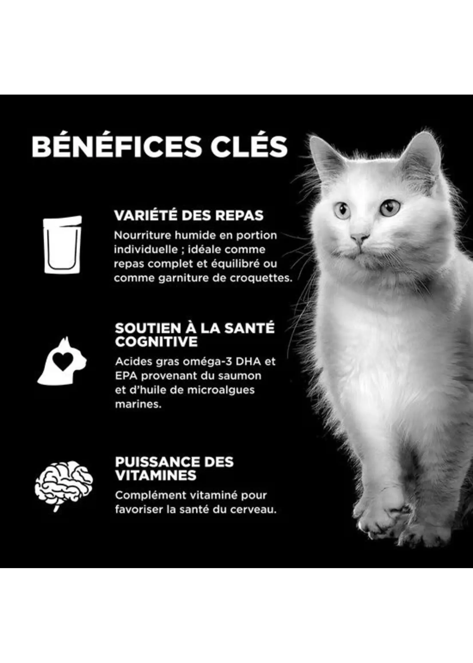 GO! SOLUTIONS GO BOOSTER CHAT SANTÉ CÉRÉBRALE POULET ET SAUMON HACHÉ AVEC SAUCE 2.5OZ