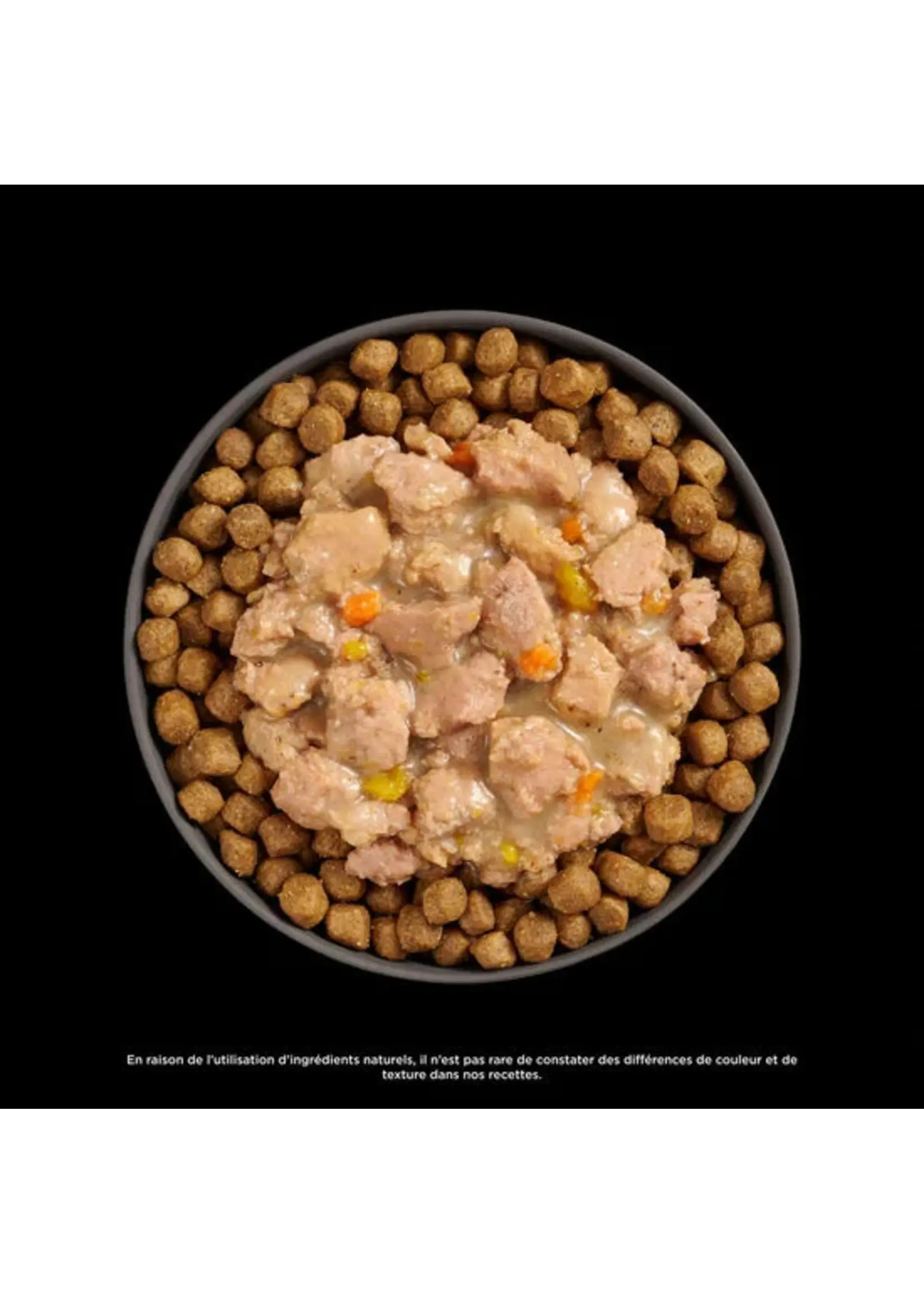 GO! SOLUTIONS GO BOOSTER CHAT SANTÉ CÉRÉBRALE POULET ET SAUMON HACHÉ AVEC SAUCE 2.5OZ