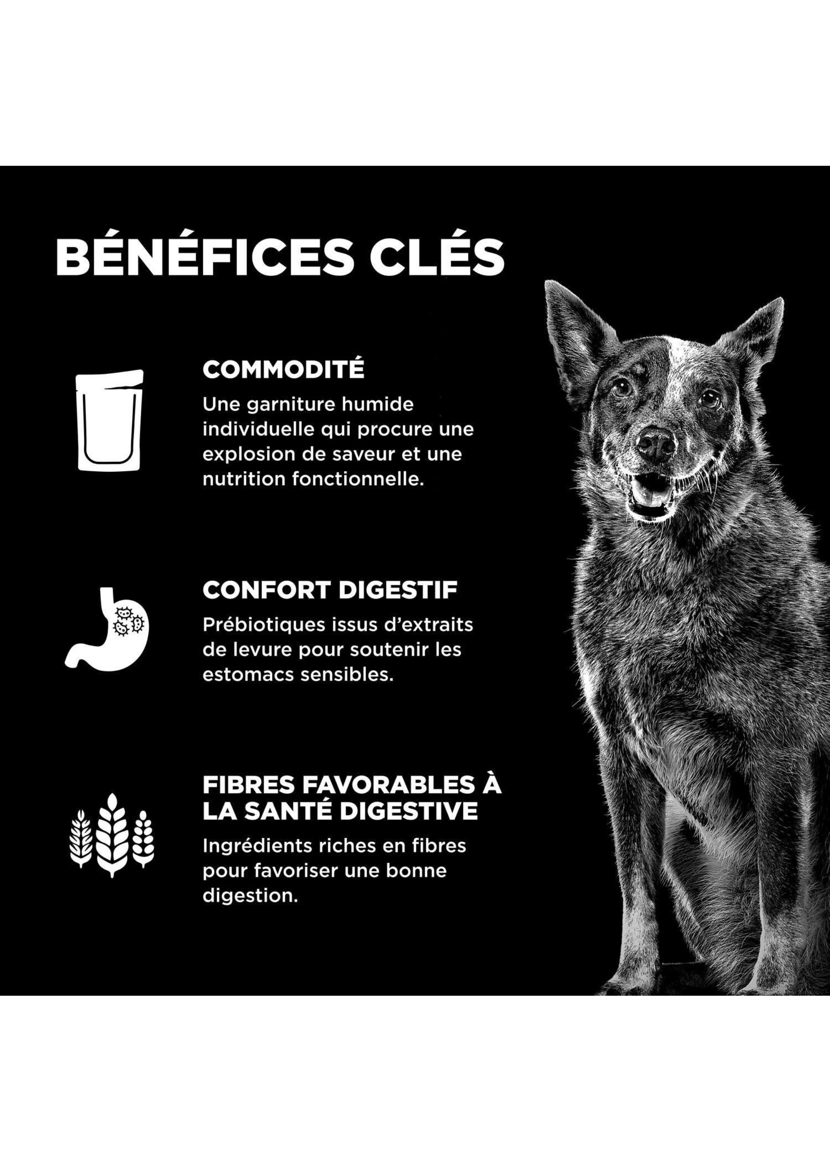 GO! SOLUTIONS GO BOOSTER CHIEN DIGESTION RAGOUT POULET ET AGNEAU 2.8OZ