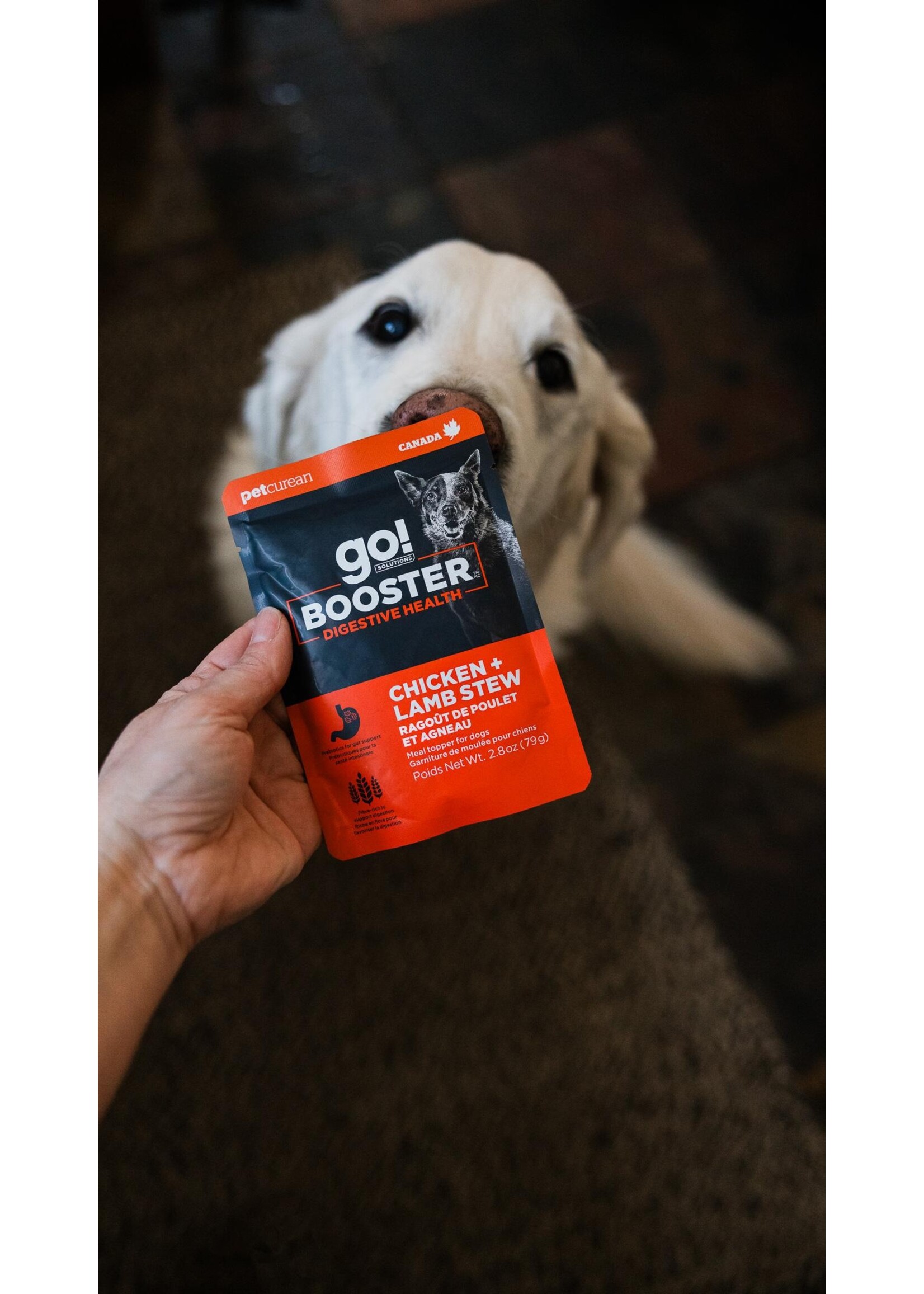 GO! SOLUTIONS GO BOOSTER CHIEN DIGESTION RAGOUT POULET ET AGNEAU 2.8OZ
