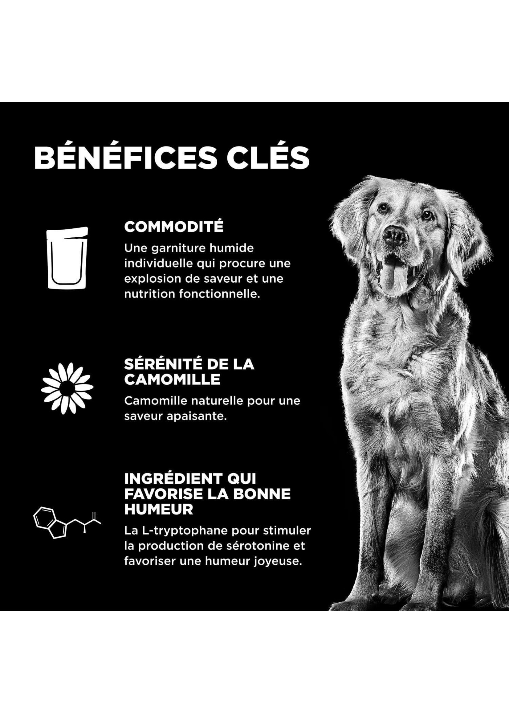 GO! SOLUTIONS GO BOOSTER CHIEN TRANQUILITÉ RAGOUT POULET/SAUMON ET CANARD 2.8OZ