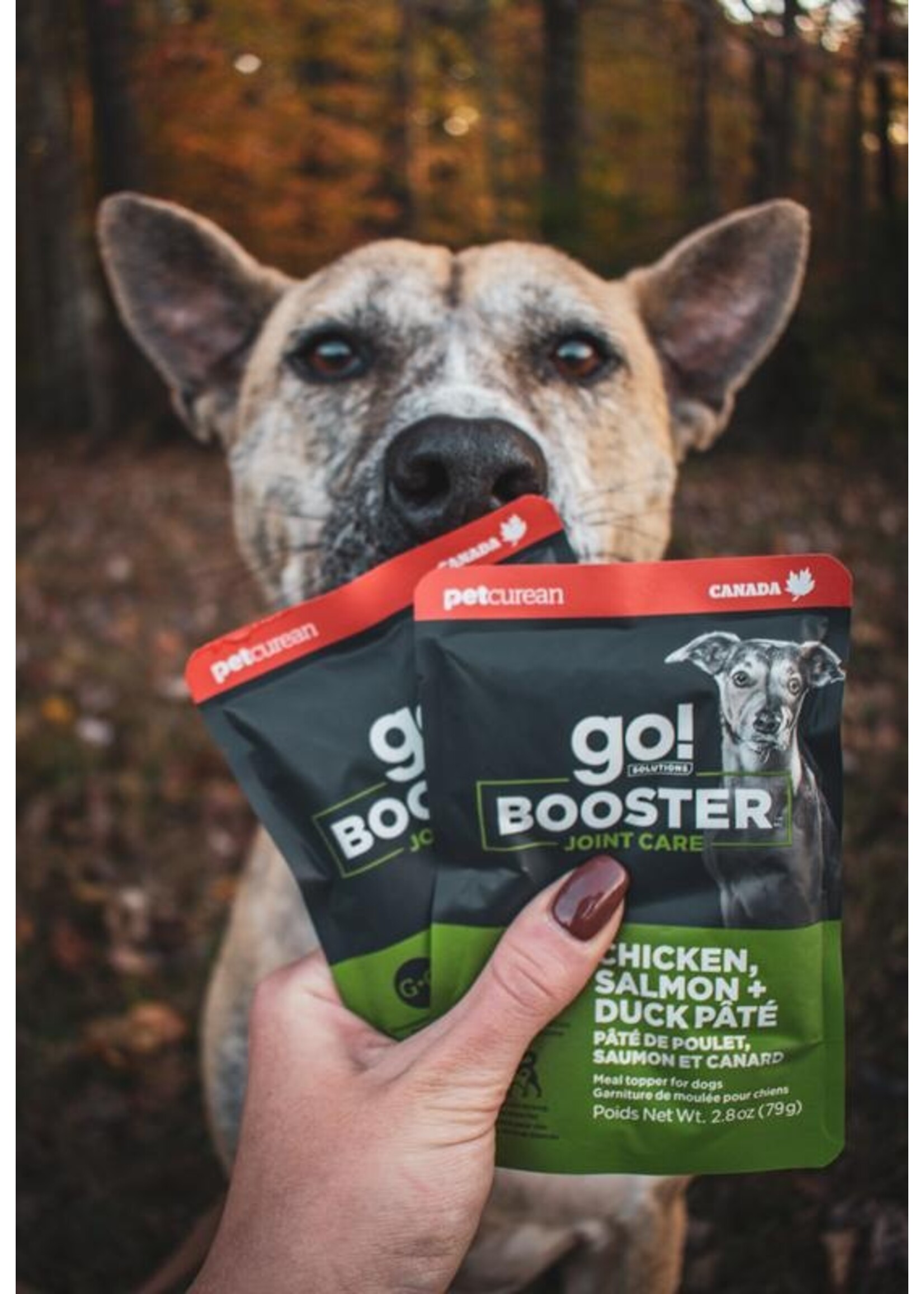 GO! SOLUTIONS GO BOOSTER CHIEN ARTICULATION POULET/SAUMON/CANARD EN PATÉ 2.8OZ
