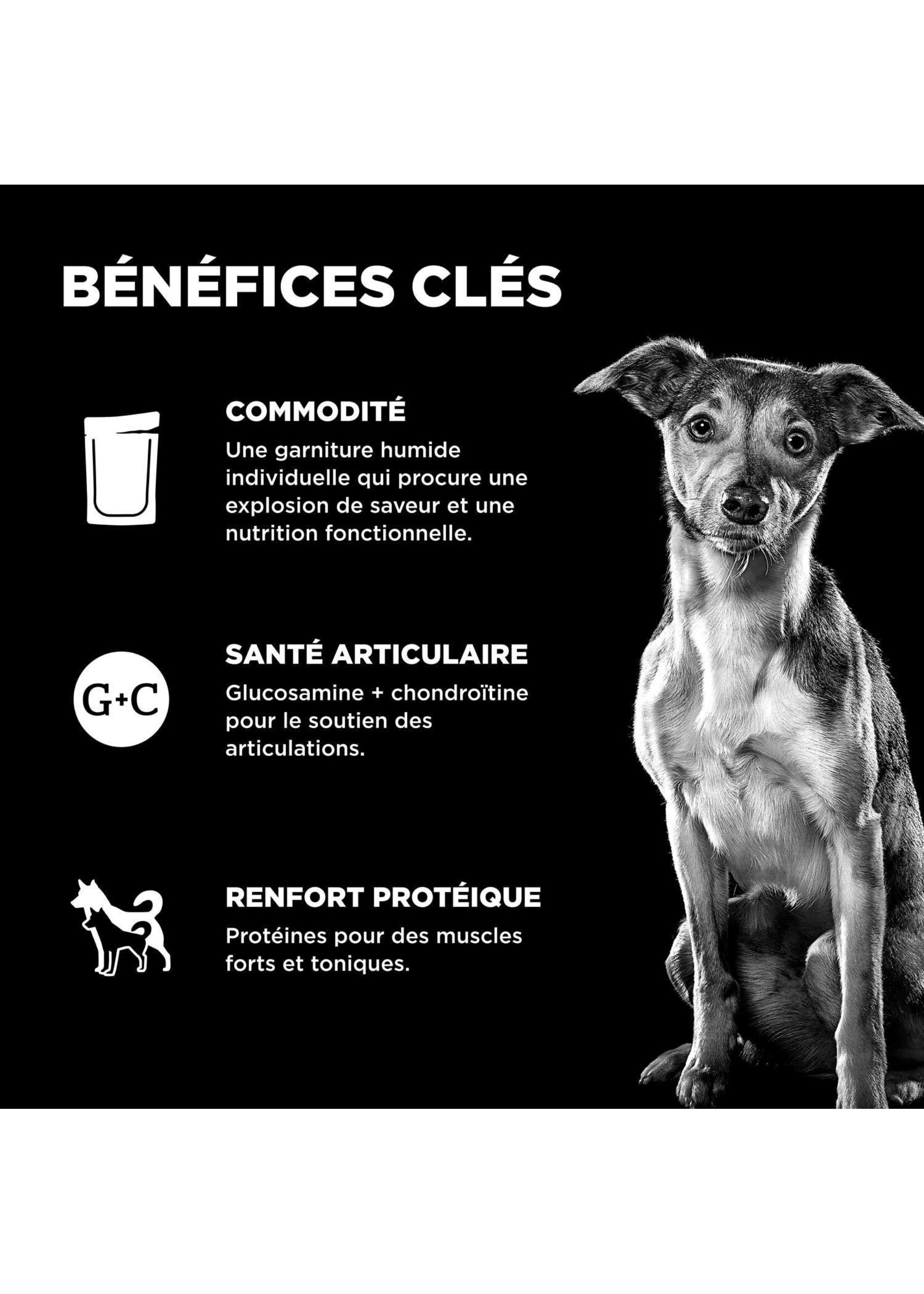 GO! SOLUTIONS GO BOOSTER CHIEN ARTICULATION POULET/SAUMON/CANARD EN PATÉ 2.8OZ