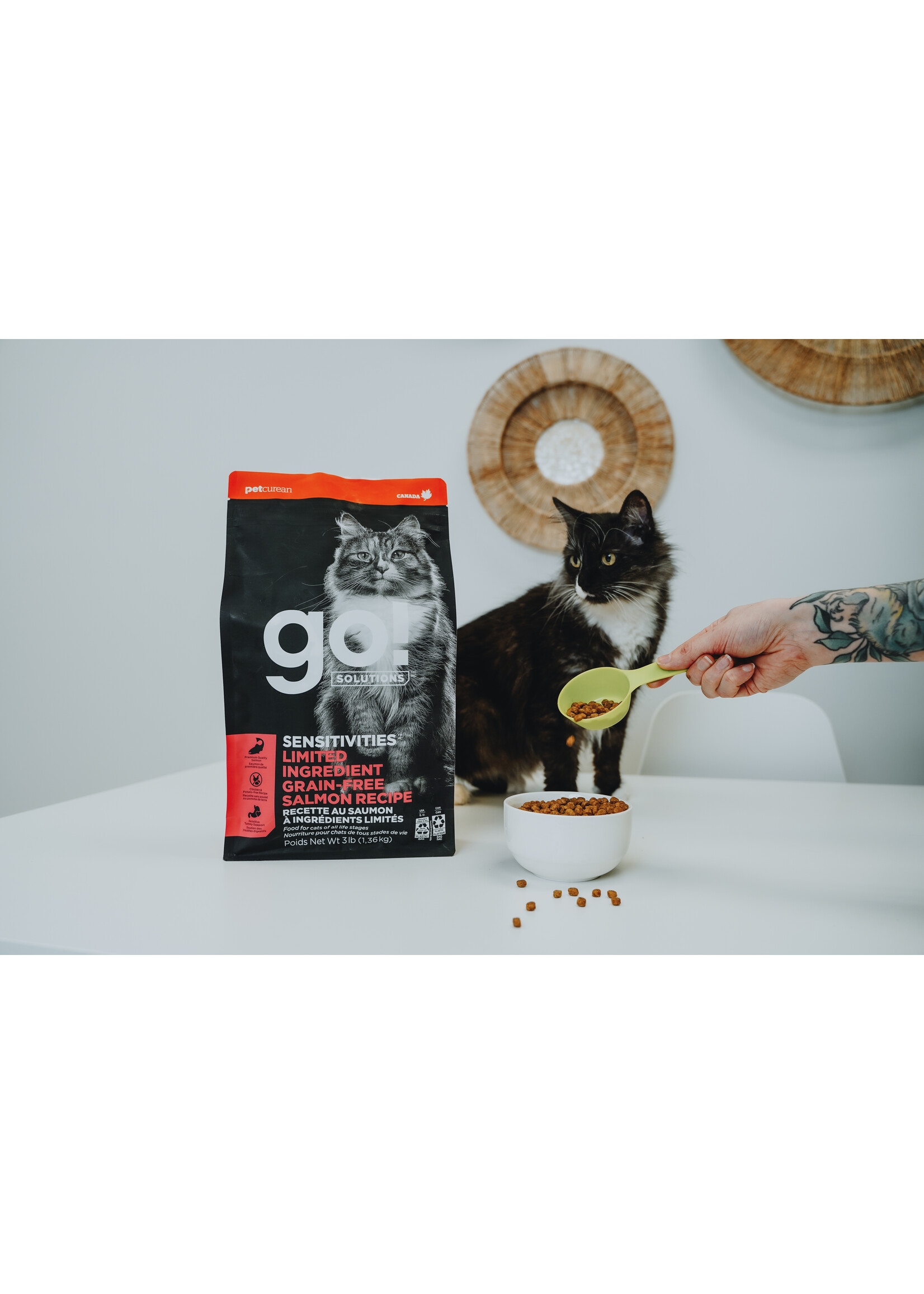 GO! SOLUTIONS GO! SOLUTION CHAT SENSITIVES SAUMON SANS GRAINS