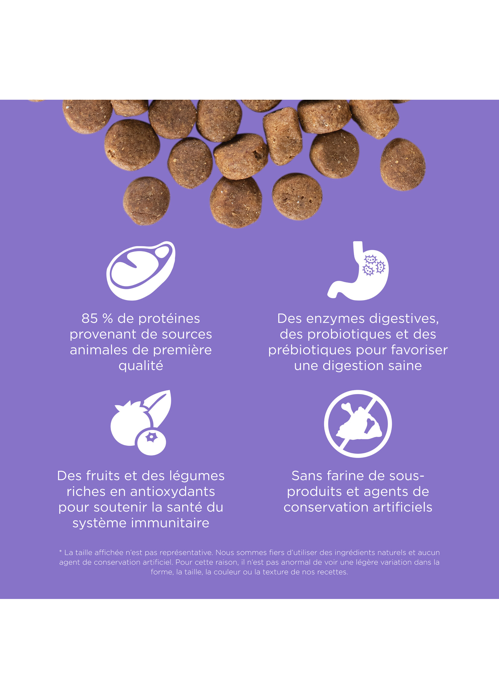 GO! SOLUTIONS GO SOLUTION CHAT POULET BOULES DE POILS ET SOINS URINAIRES