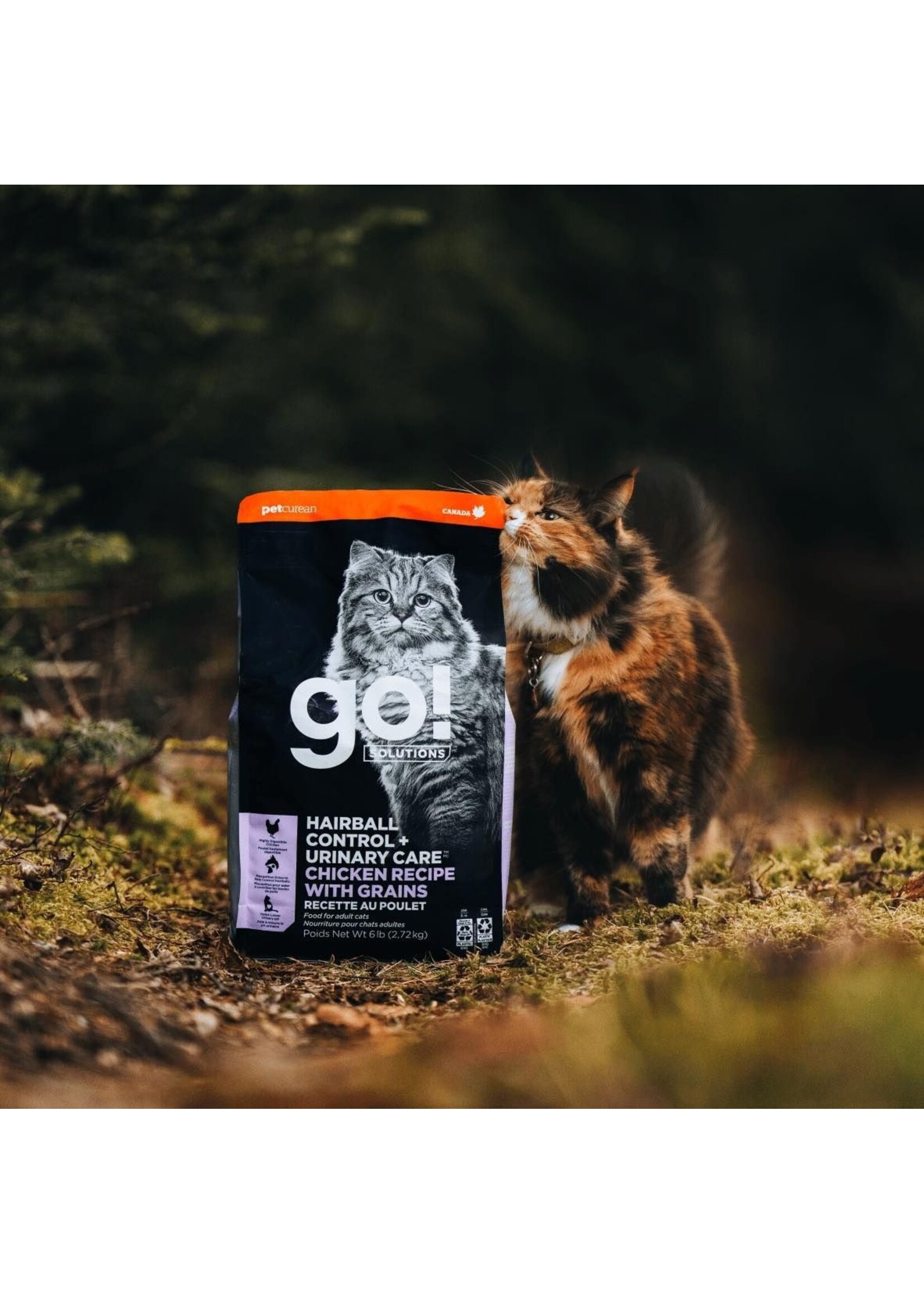 GO! SOLUTIONS GO SOLUTION CHAT POULET BOULES DE POILS ET SOINS URINAIRES