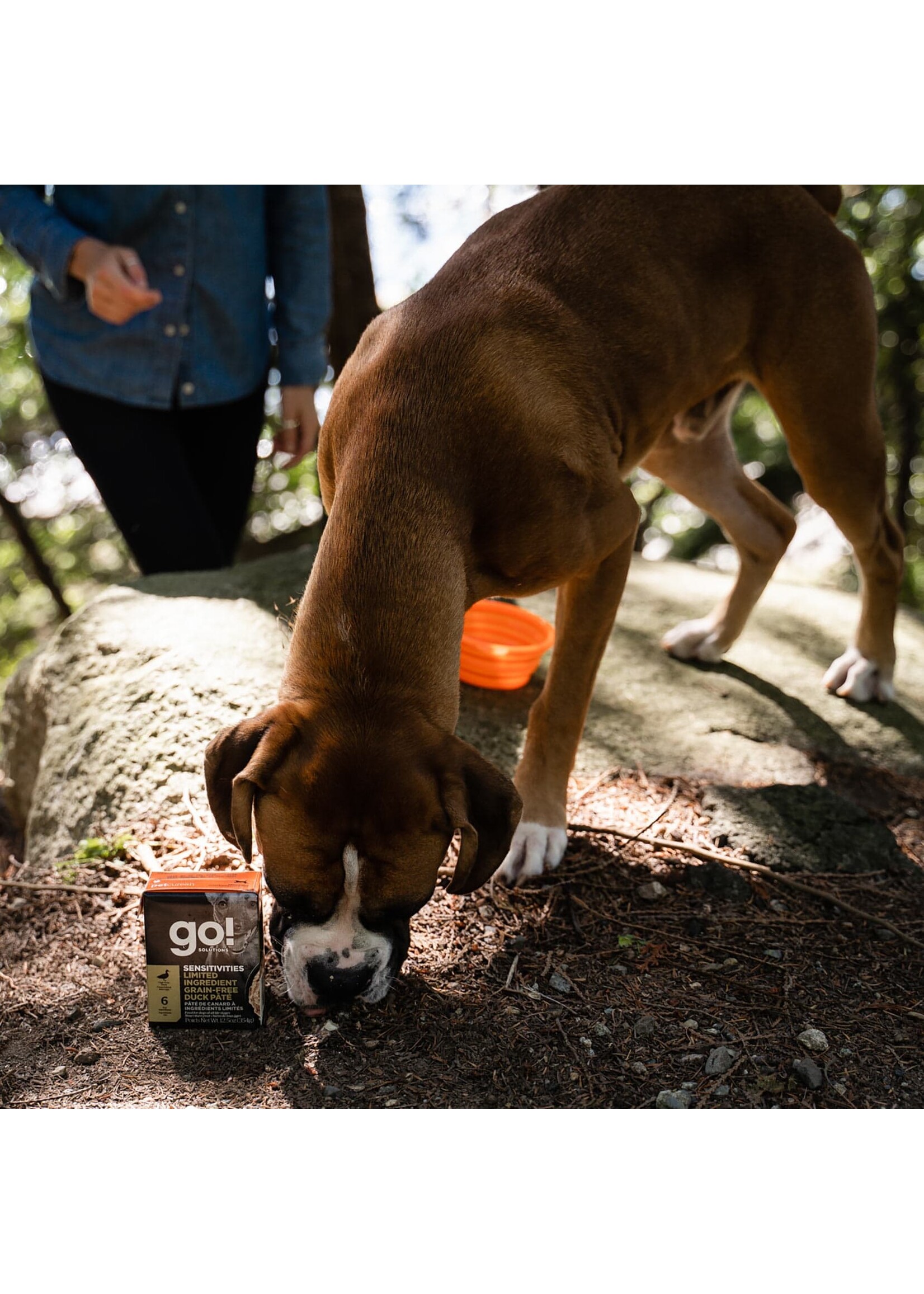 GO! SOLUTIONS GO TETRA PAK CHIEN SENSITIVE  PATE CANARD SANS GRAINS 12.5 OZ