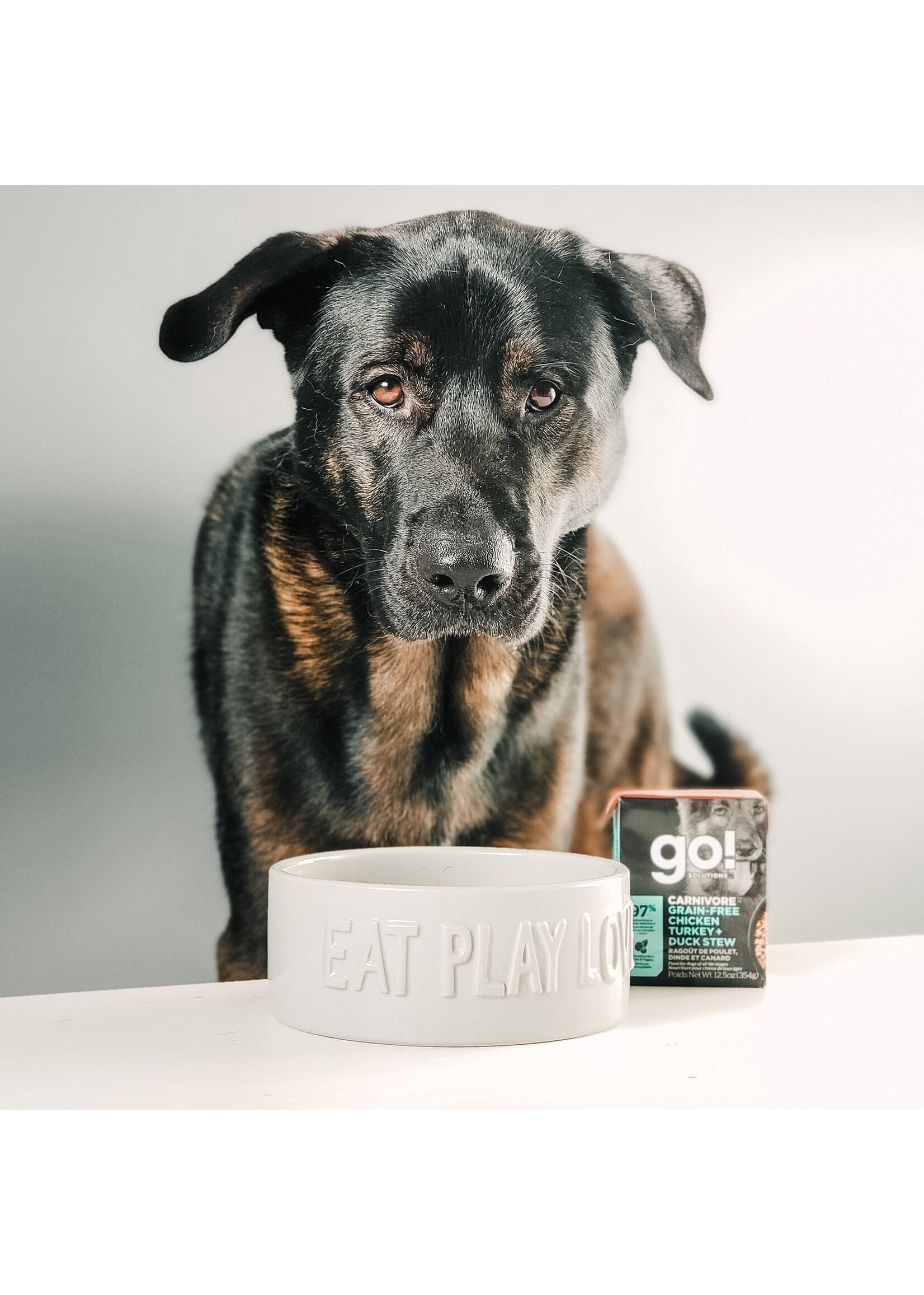 GO! SOLUTIONS GO TETRA PAK CHIEN CARNIVORE POULET/DINDE/CANARD SANS GRAINS 12.5 OZ