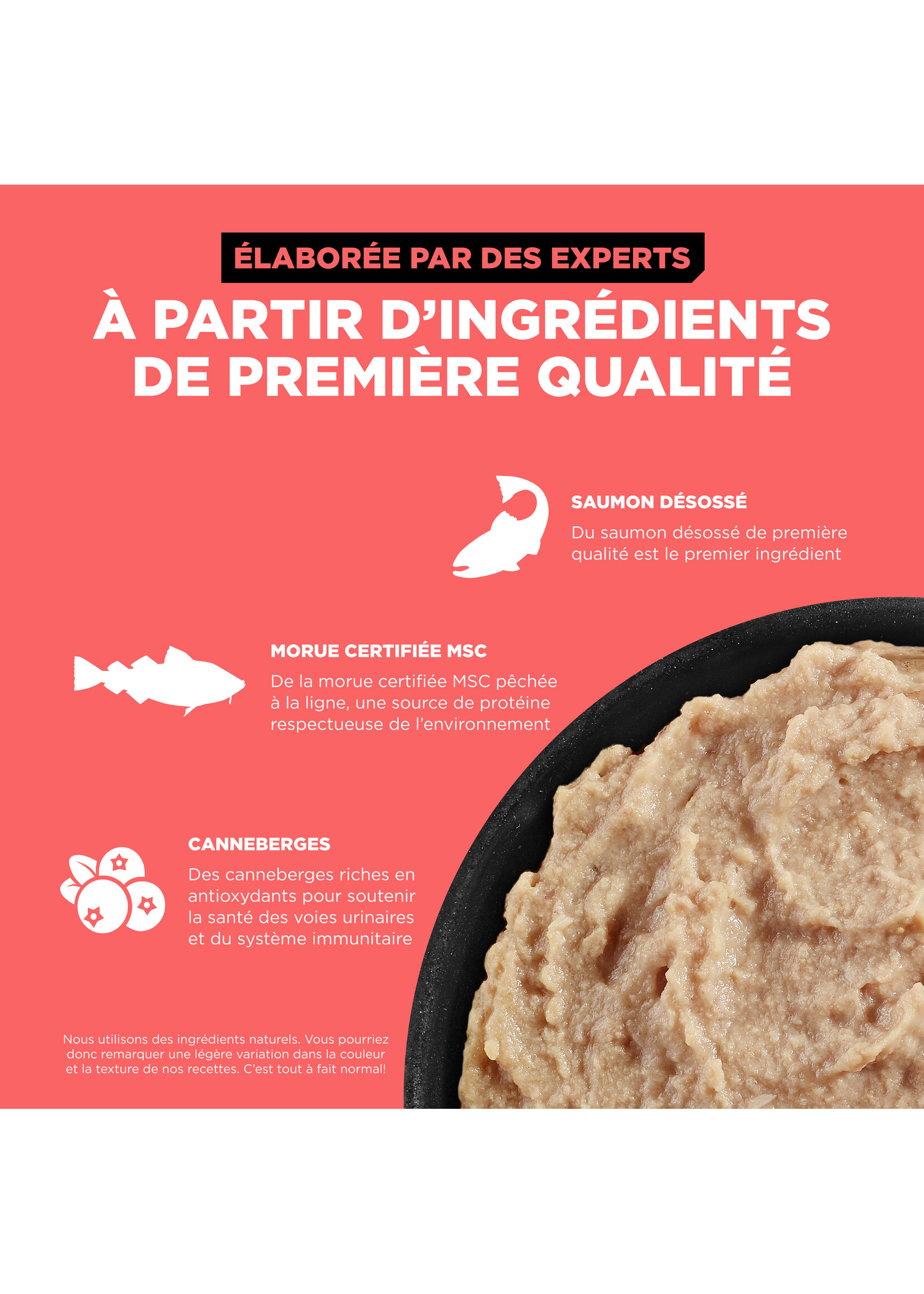 GO! SOLUTIONS GO TETRA PAK CHAT CARNIVORE SAUMON ET MORUE SANS GRAINS 6.4 OZ