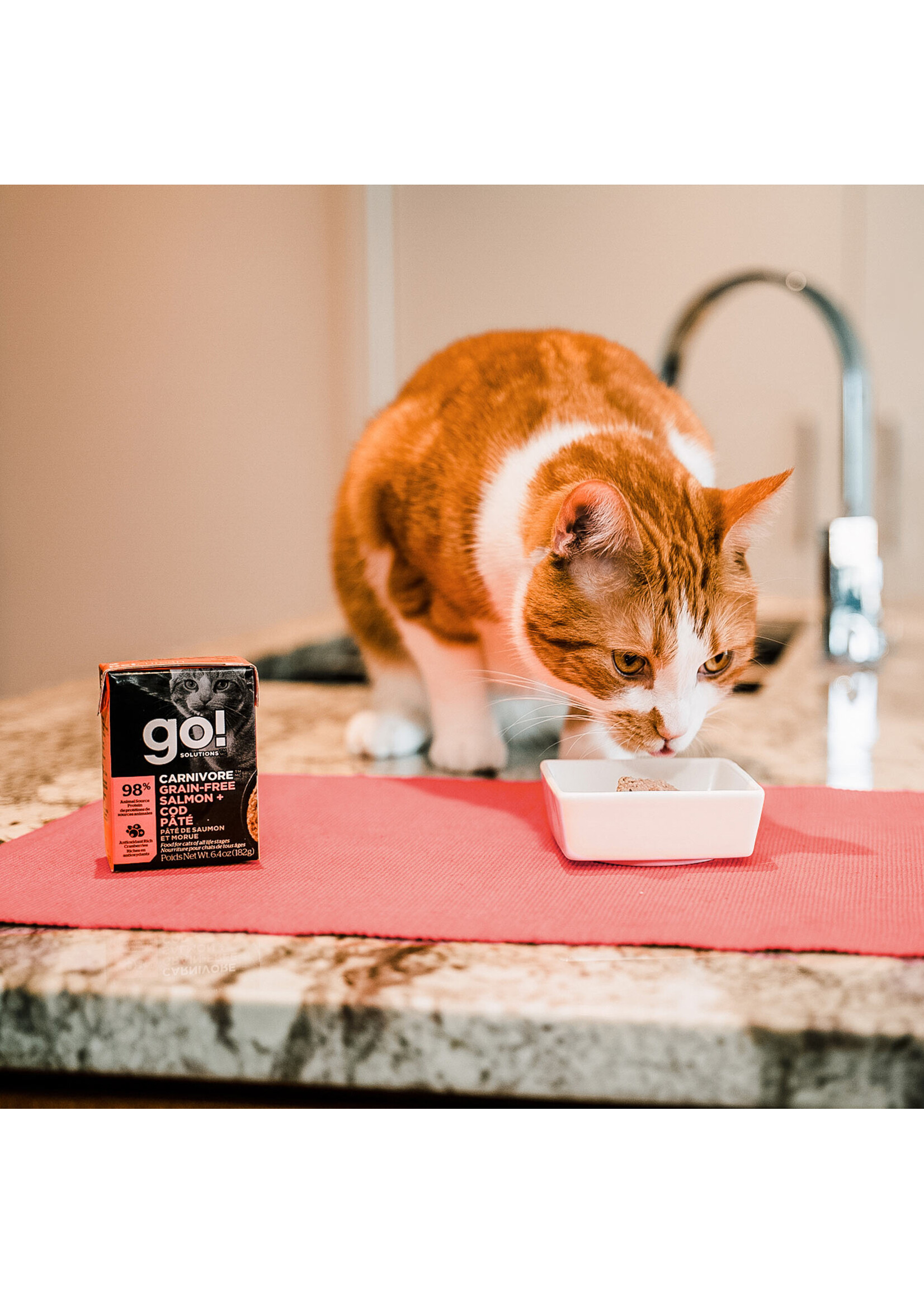 GO! SOLUTIONS GO TETRA PAK CHAT CARNIVORE SAUMON ET MORUE SANS GRAINS 6.4 OZ