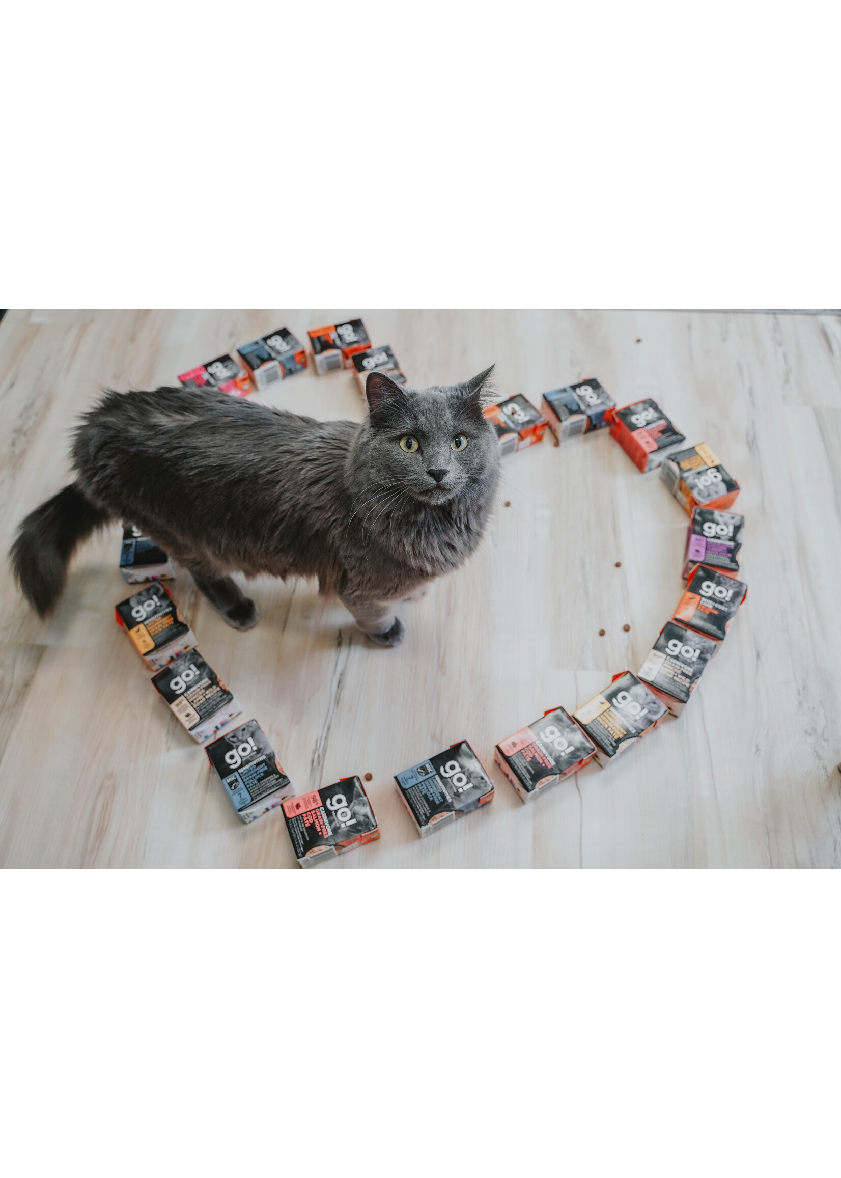 GO! SOLUTIONS GO TETRA PAK CHAT CARNIVORE POULET/DINDE/CANARD SANS GRAINS 6.4 OZ