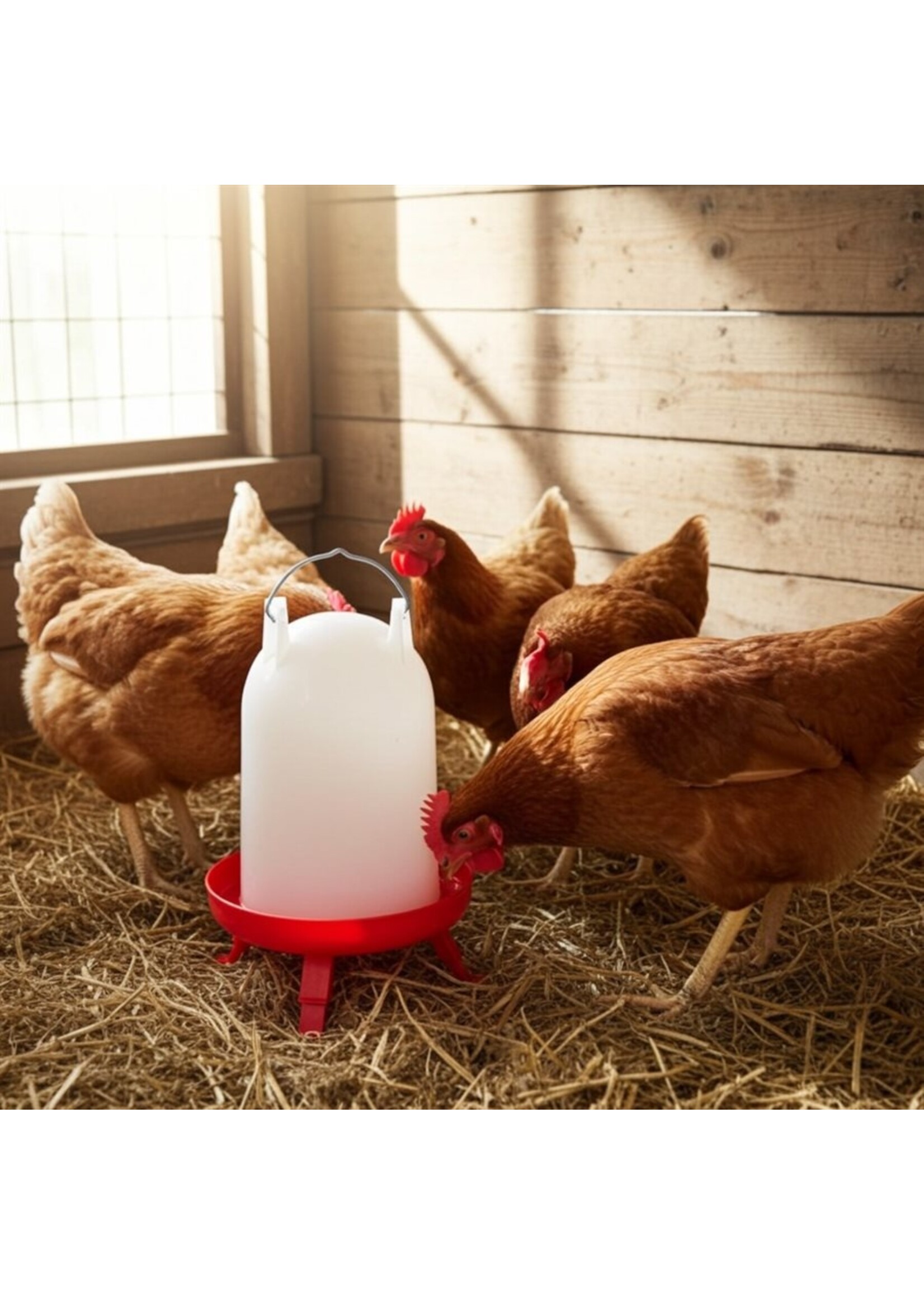 RANCH CUNICOLE ABREUVOIR SUR PIEDS