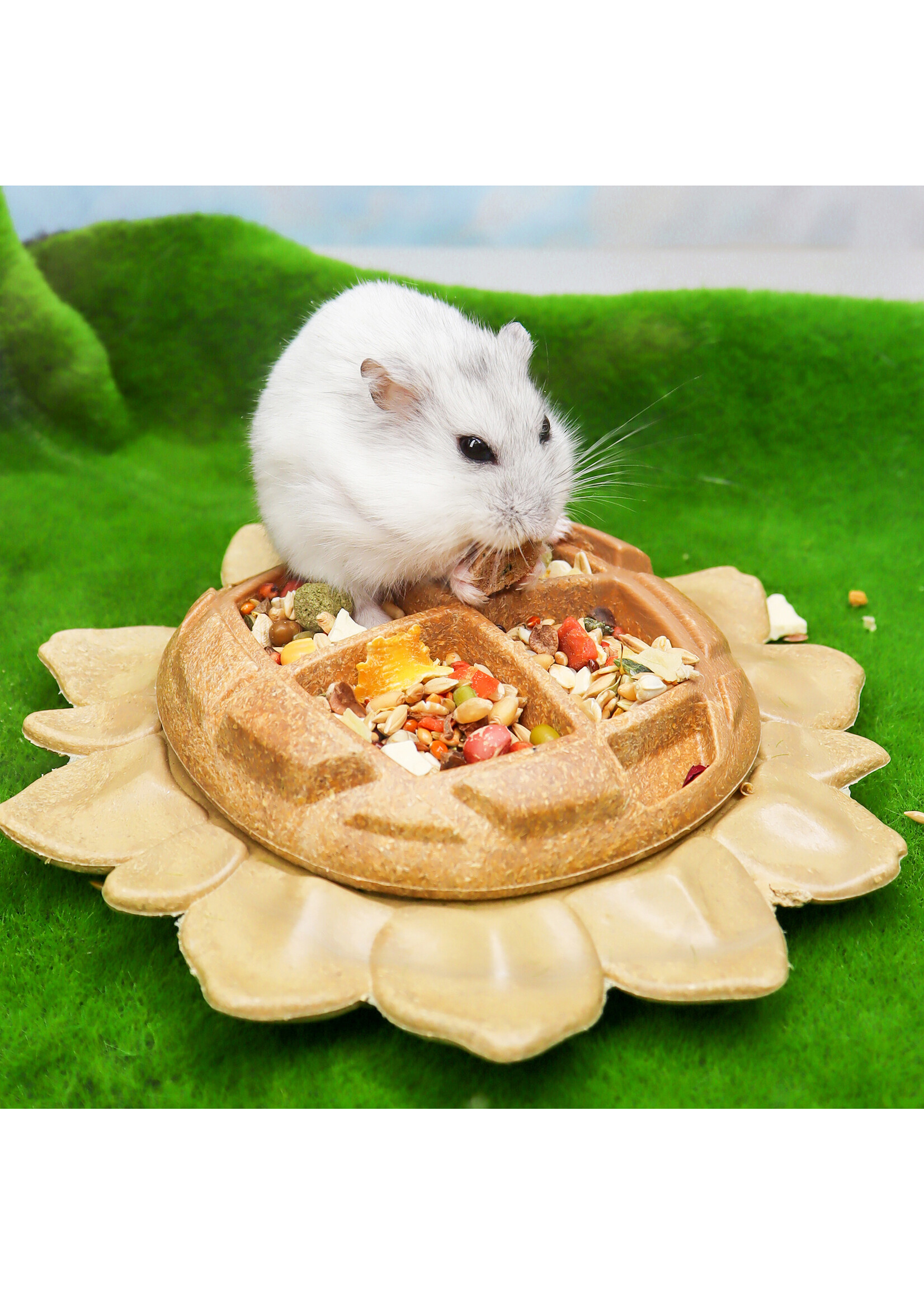 LIVING WORLD LIVING WORLD BOL COMESTIBLE TOURNESOL ORANGE 160 G