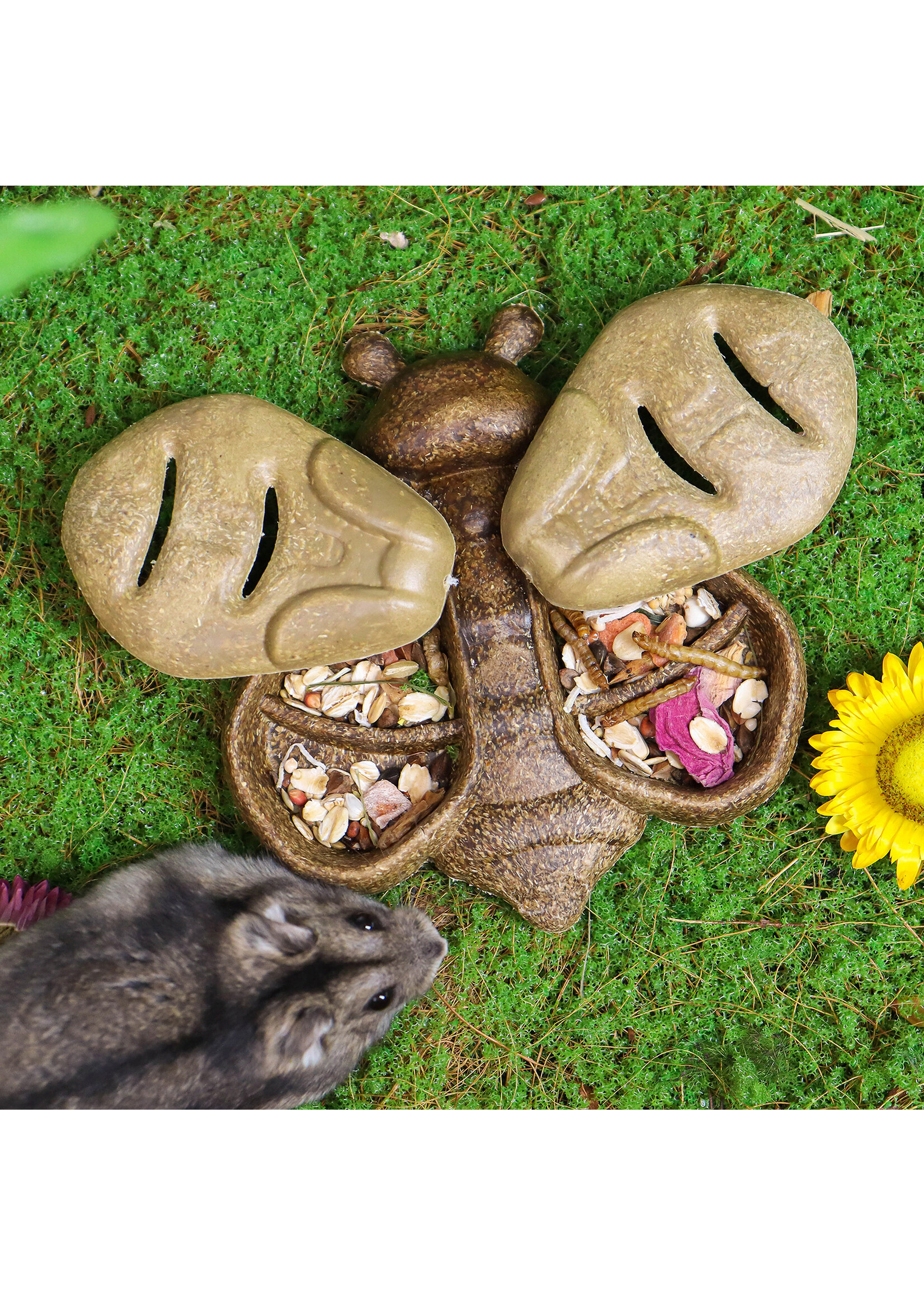 LIVING WORLD LIVING WORLD BOL COMESTIBLE ABEILLE BRUN 120 G