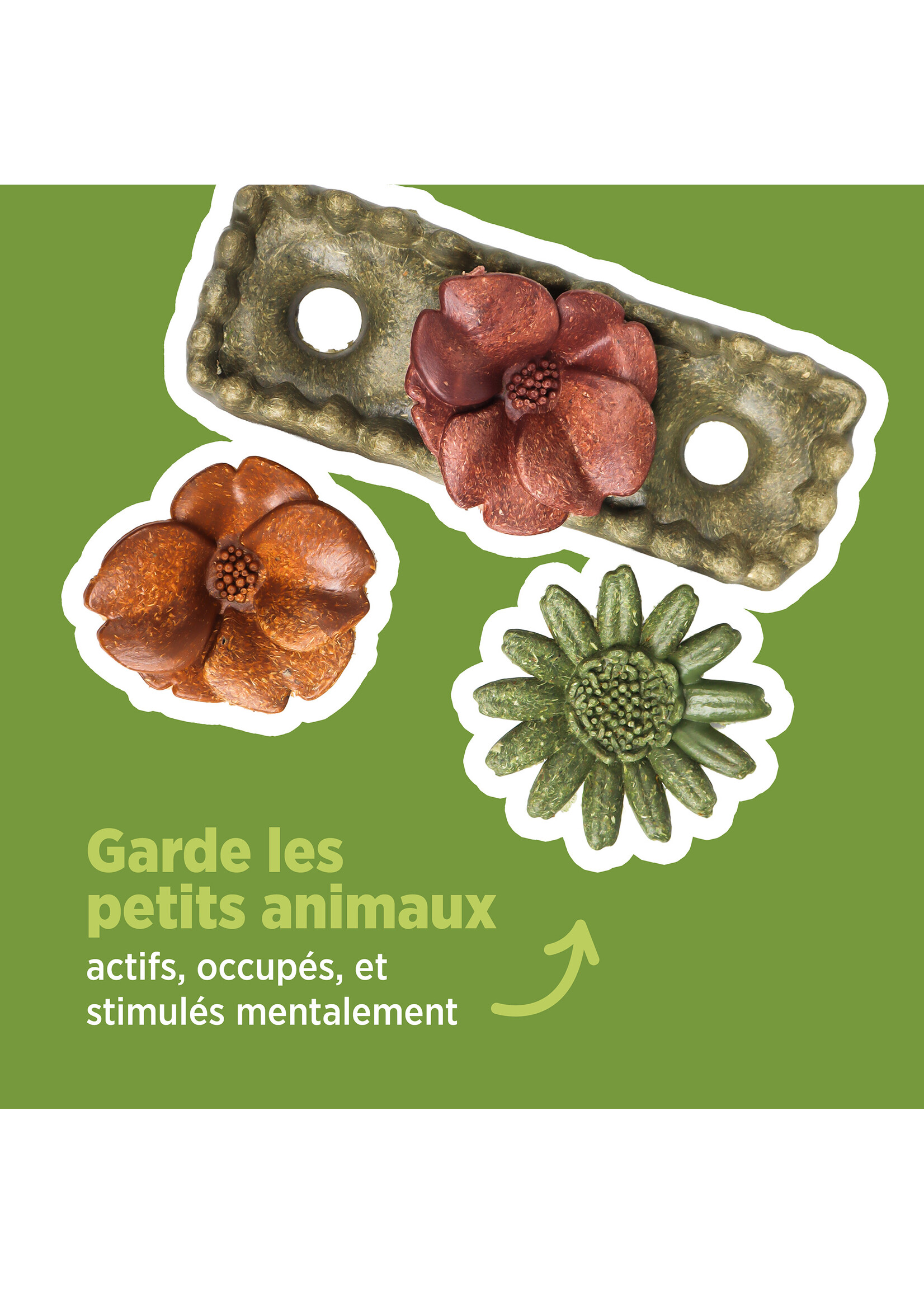 LIVING WORLD LIVING WORLD JOUET À MÂCHER LIT DE FLEURS 150 G