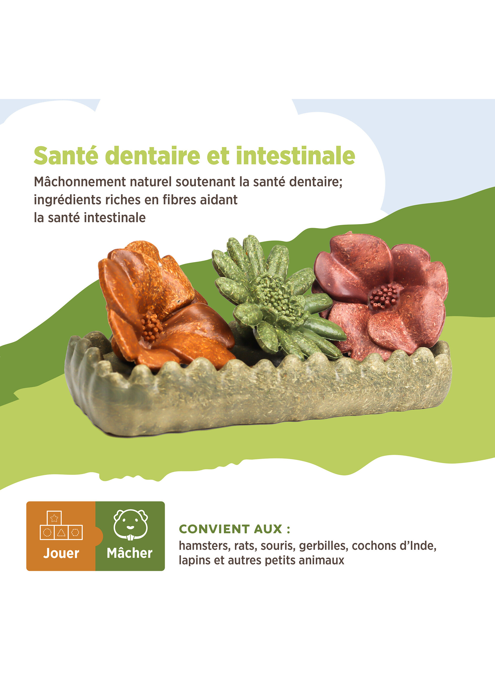 LIVING WORLD LIVING WORLD JOUET À MÂCHER LIT DE FLEURS 150 G