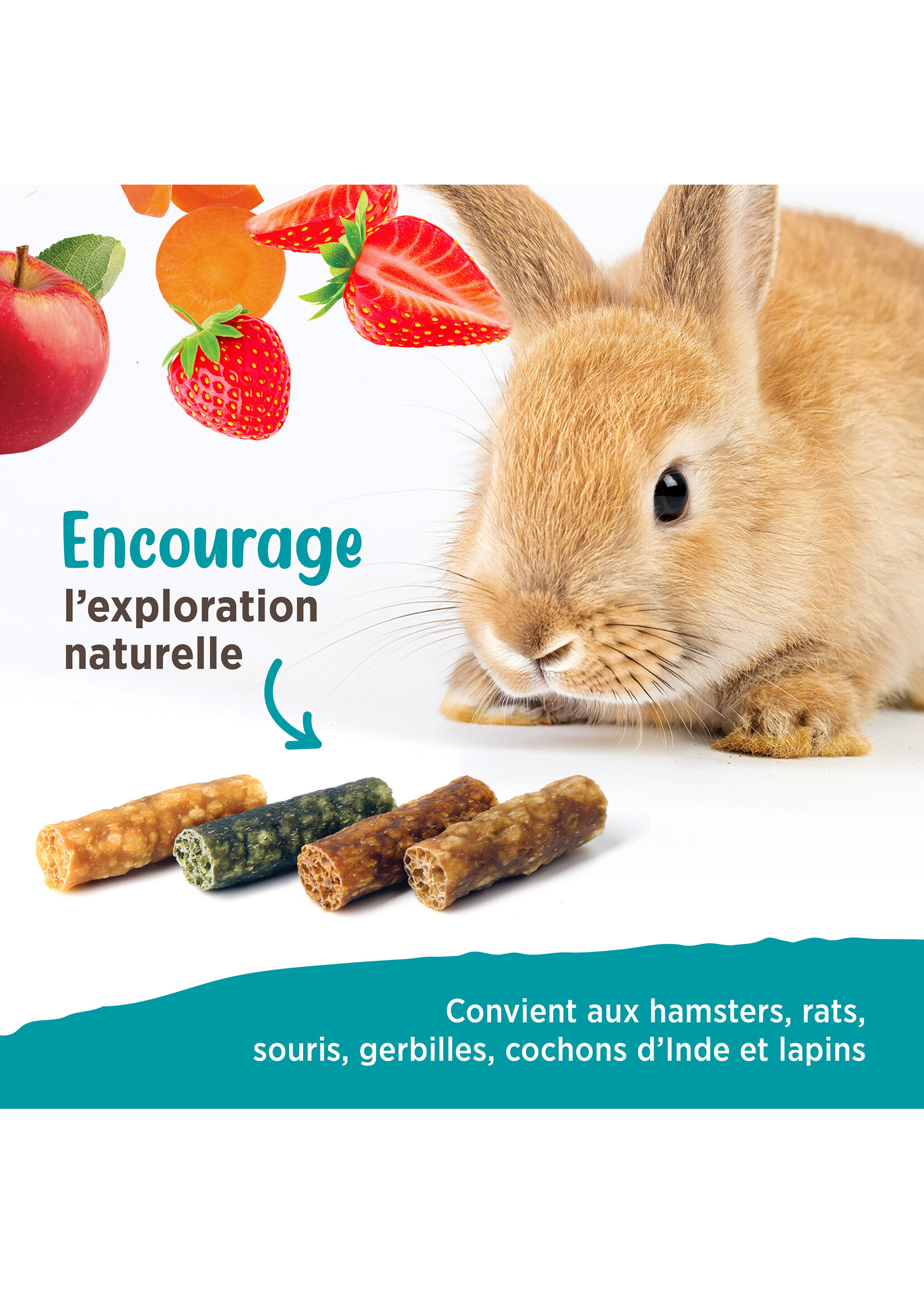 LIVING WORLD LIVING WORLD GÂTERIES POUR PETITS ANIMAUX MÉLANGE DE SAVEURS 75 G