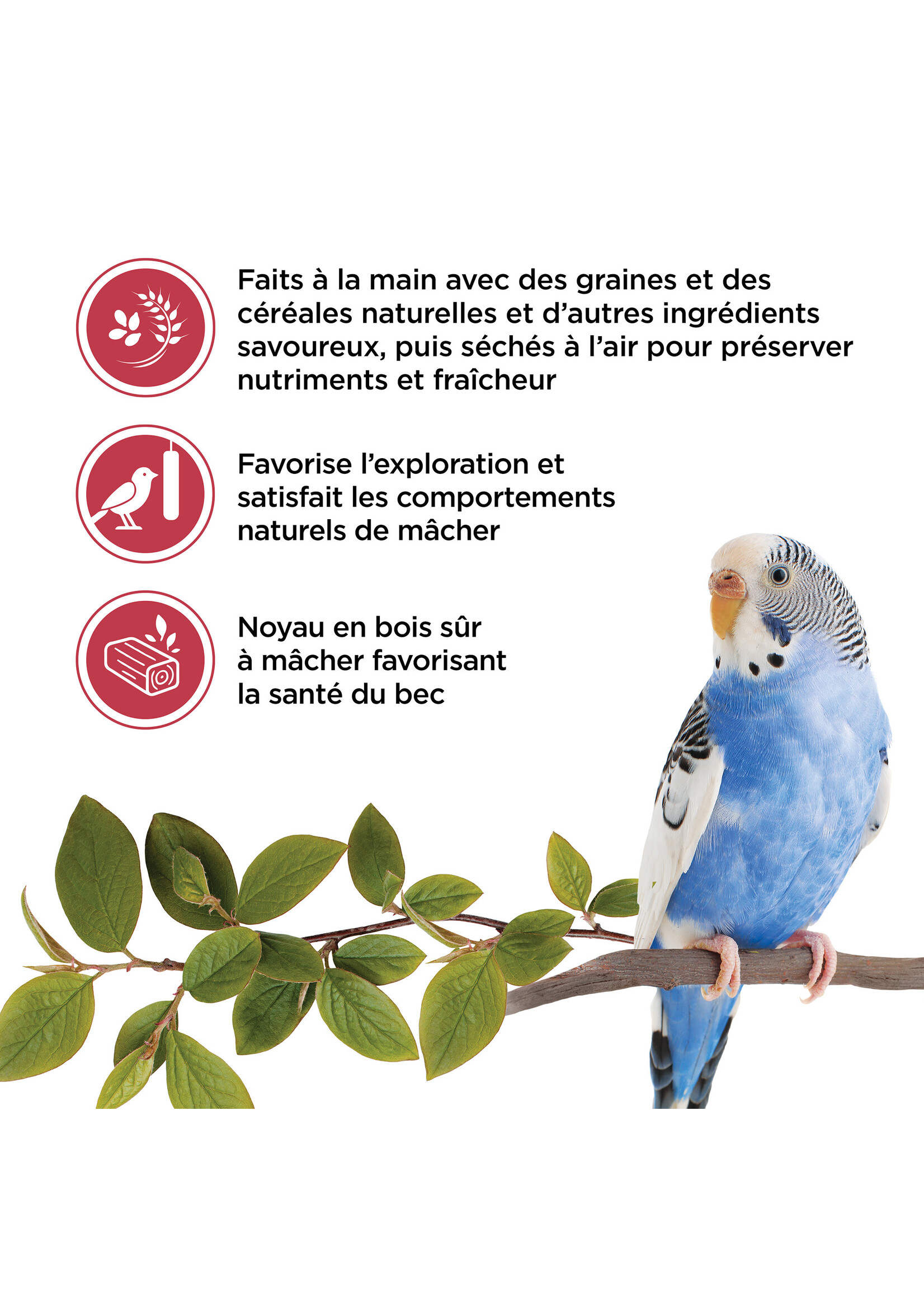 LIVING WORLD LIVING WORLD GÂTERIES POUR PERRUCHE BÂTONNETS AUX FRUITS PAQUET DE 2