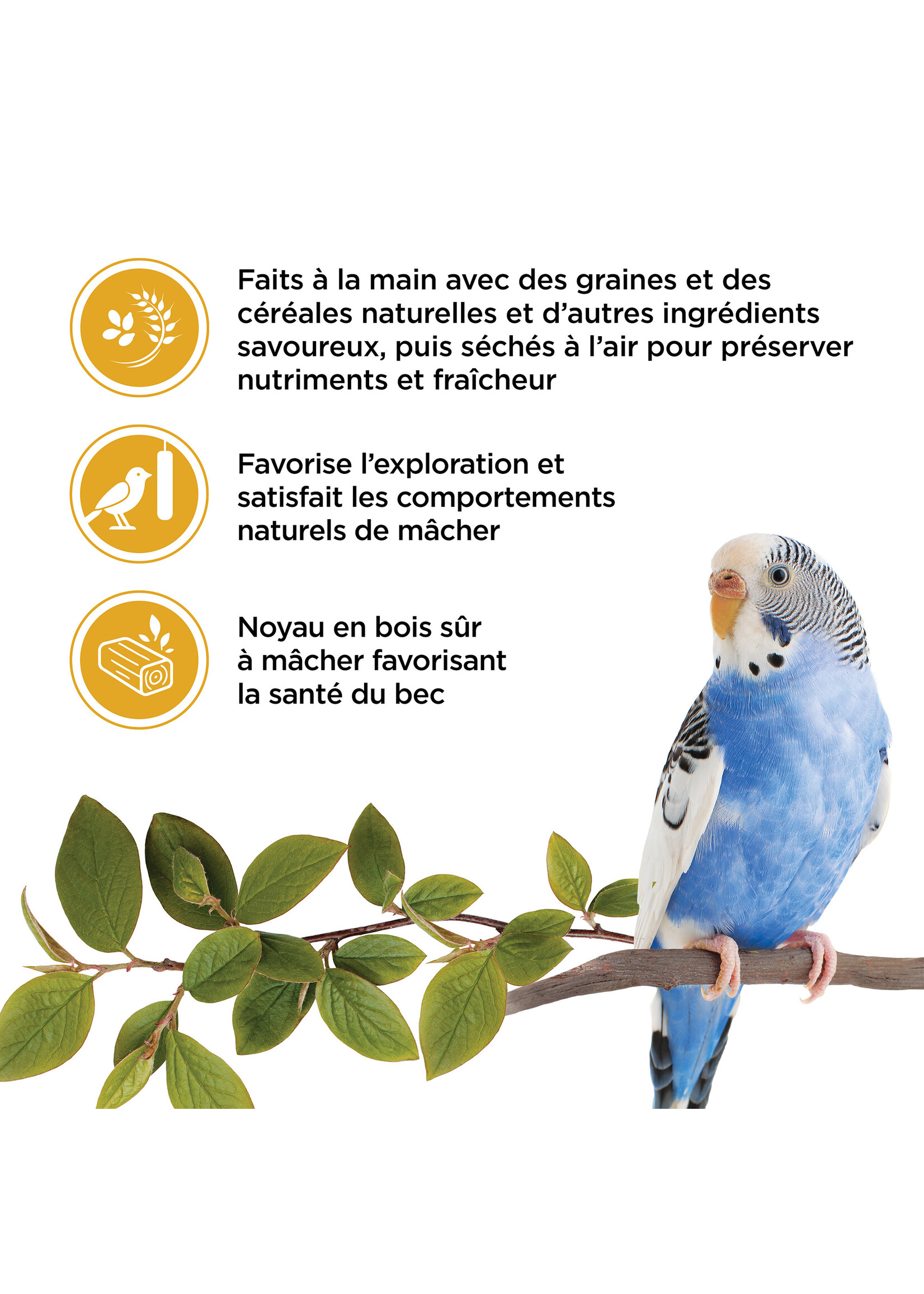 LIVING WORLD LIVING WORLD GÂTERIES POUR PERRUCHE BÂTONNETS AUX OEUFS PAQUET DE 2