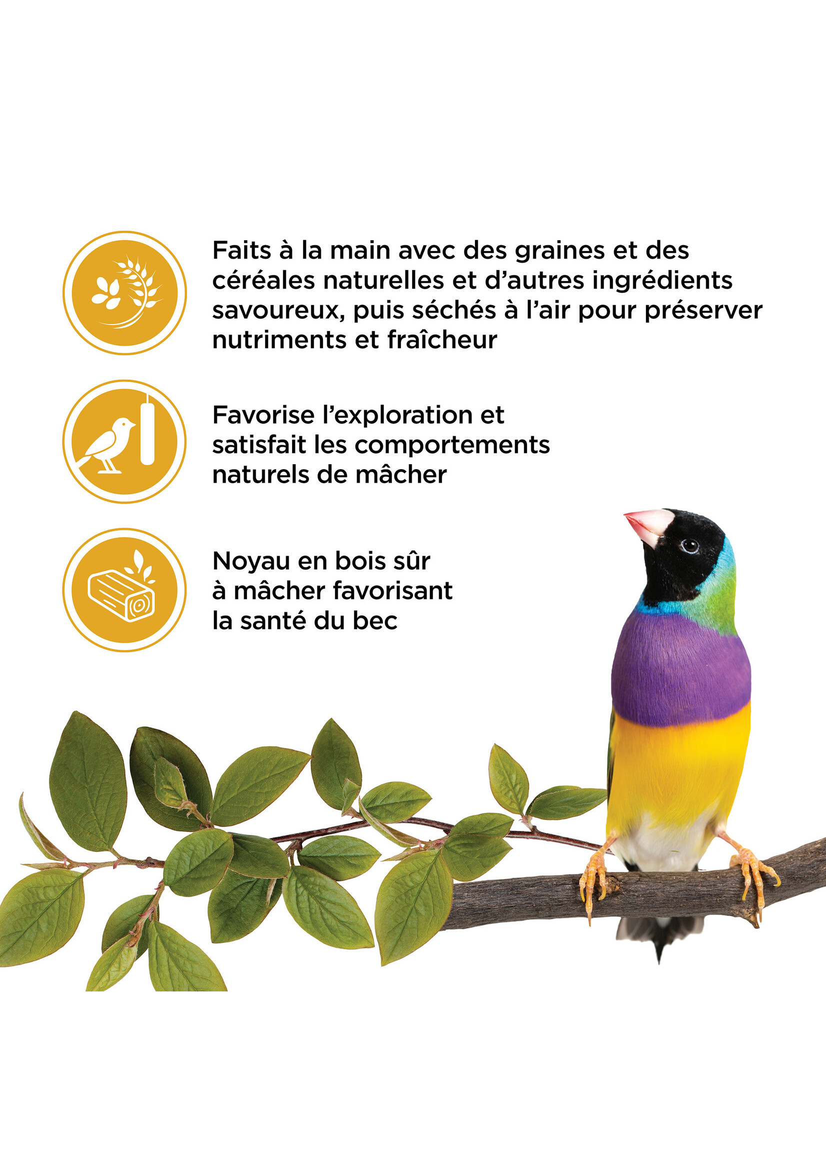 LIVING WORLD LIVING WORLD GÂTERIES POUR PINSON BÂTONNETS AUX OEUFS PAQUET DE 2