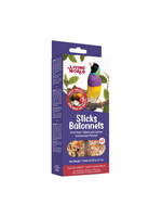 LIVING WORLD LIVING WORLD GÂTERIES POUR PINSON BÂTONNETS AUX FRUITS PAQUET DE 2