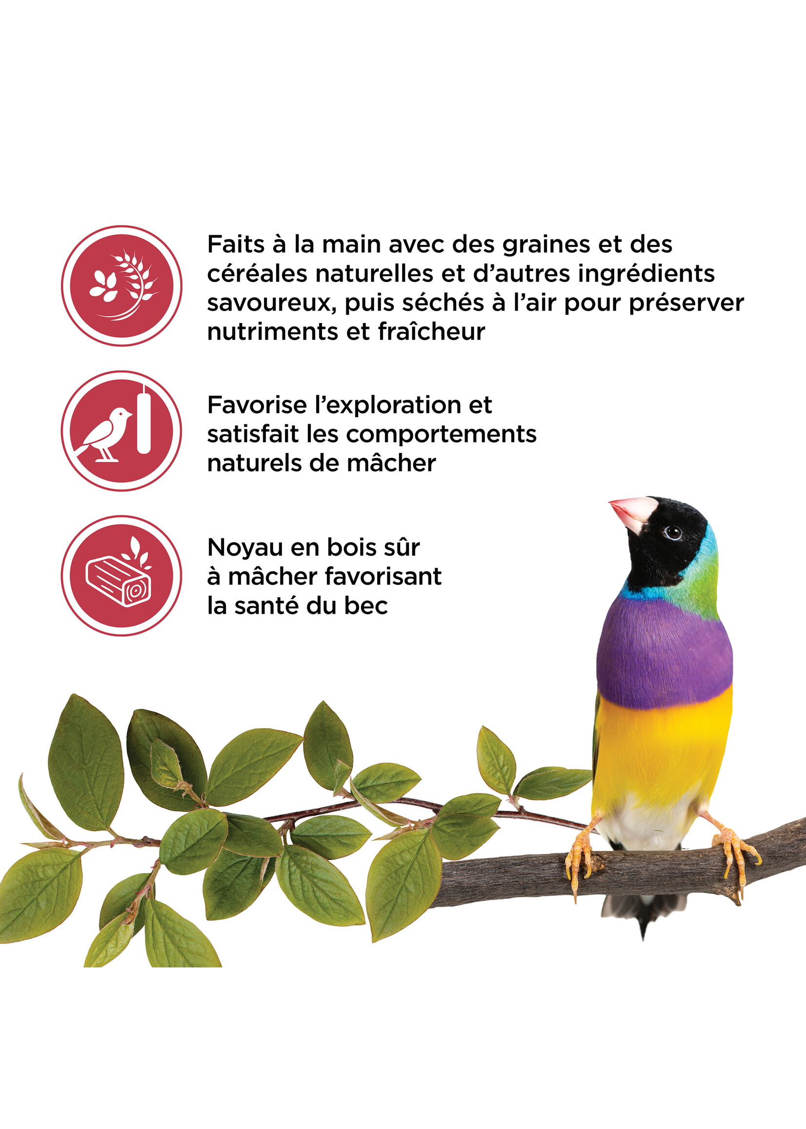 LIVING WORLD LIVING WORLD GÂTERIES POUR PINSON BÂTONNETS AUX FRUITS PAQUET DE 2