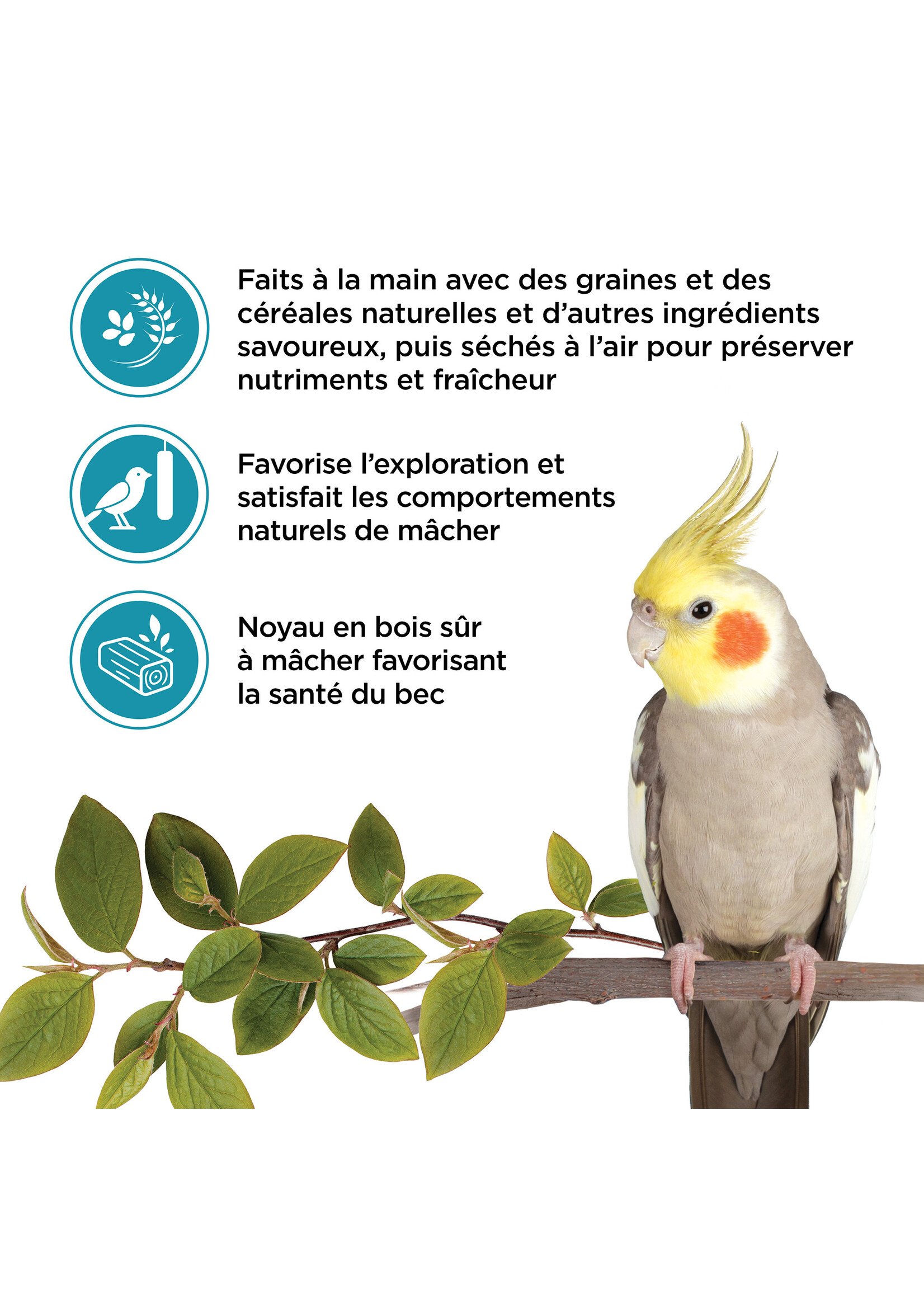 LIVING WORLD LIVING WORLD GÂTERIES POUR CALOPSITTES BÂTONNETS AUX NOIX PAQUET DE 2