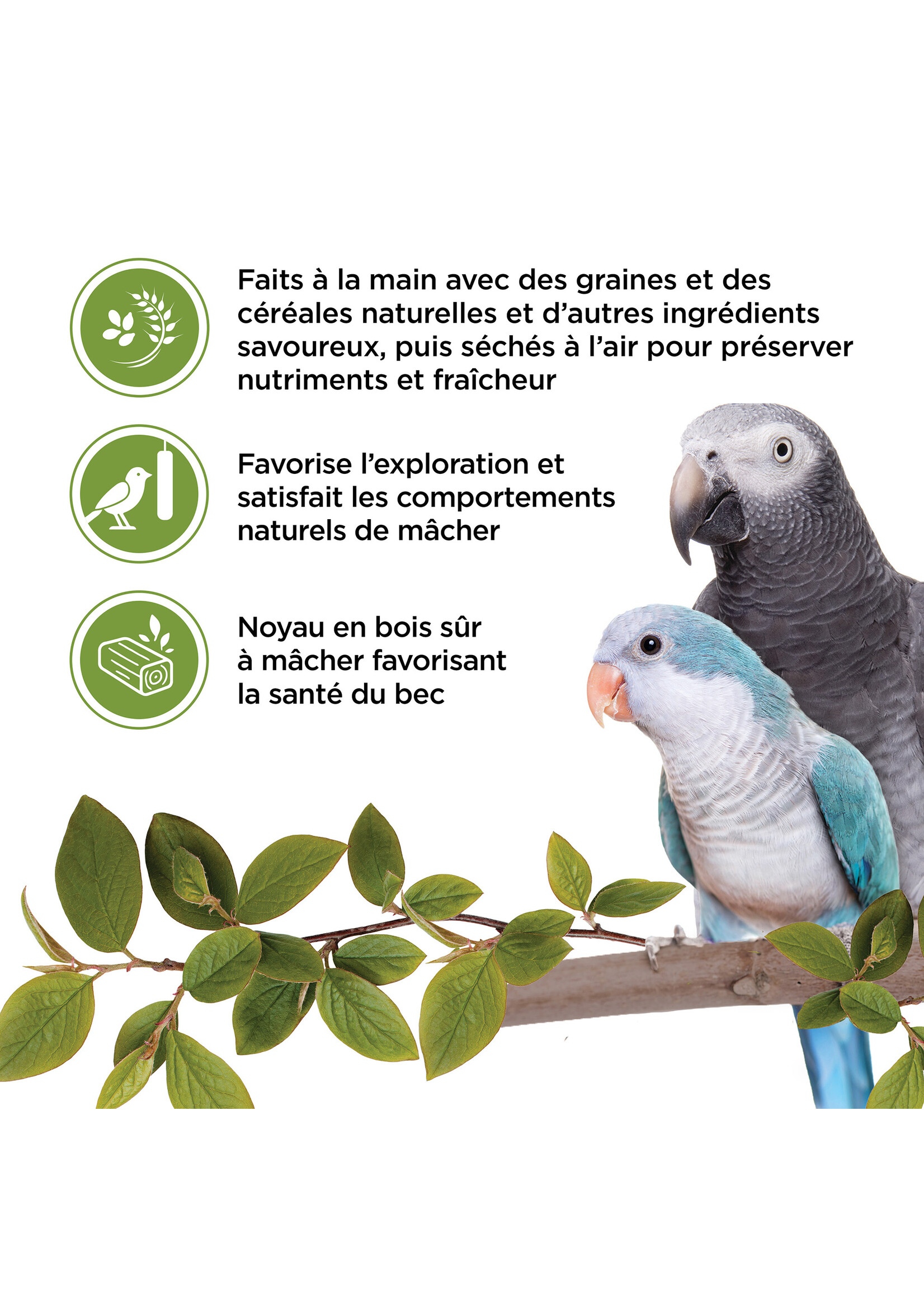 LIVING WORLD LIVING WORLD GÂTERIES POUR PERROQUETS BÂTONNETS AUX LÉGUMES PAQUET DE 2