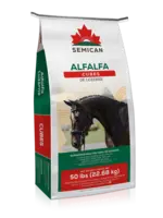 SEMICAN FOIN EN CUBE MIL & LUZERNE 50/50 22.7KG(TIMOTHY & ALFALFA )