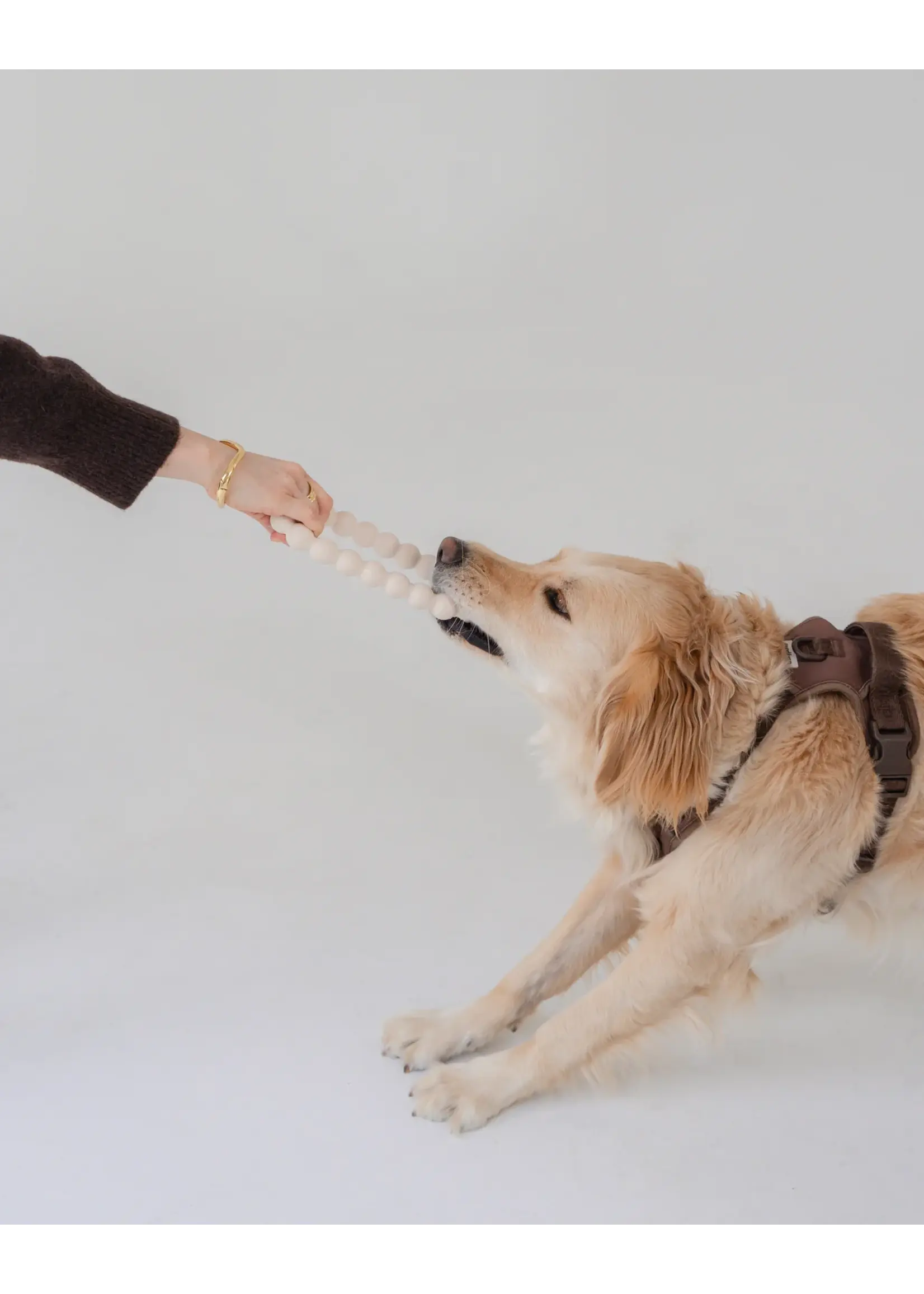 DEXYPAWS JOUET A MACHER POUR CHIEN ANNEAU