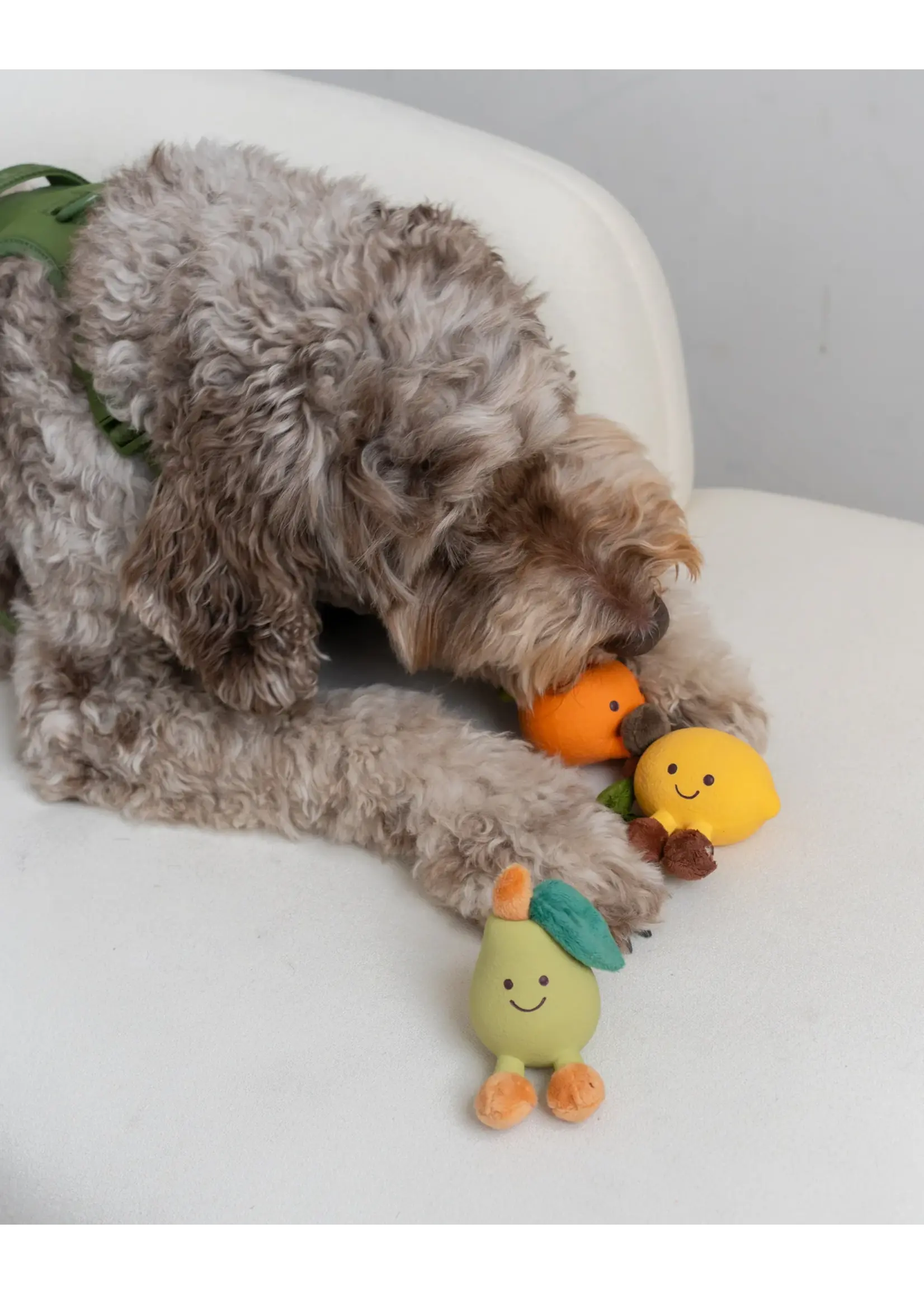 DEXYPAWS JOUET EN LATEX ET PELUCHE POUR PETIT CHIEN