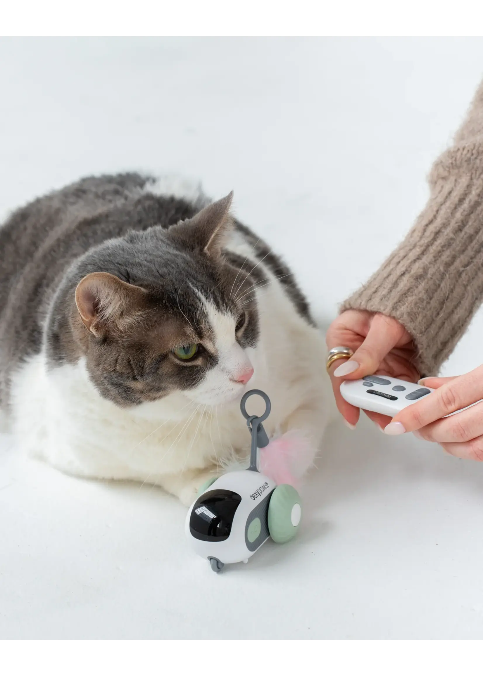 DEXYPAWS JOUET INTERACTIF POUR CHAT SOURIS