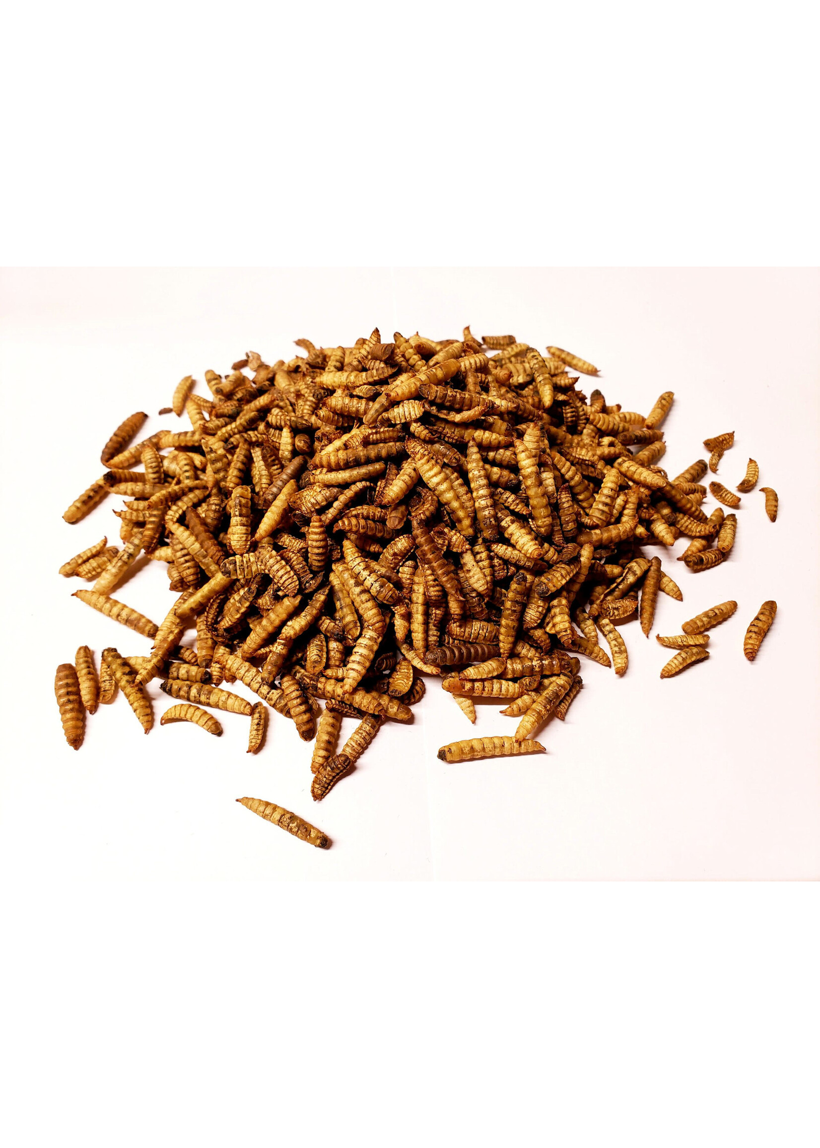 MASKA SELECT MASKA LARVES DE MOUCHES 5 KG
