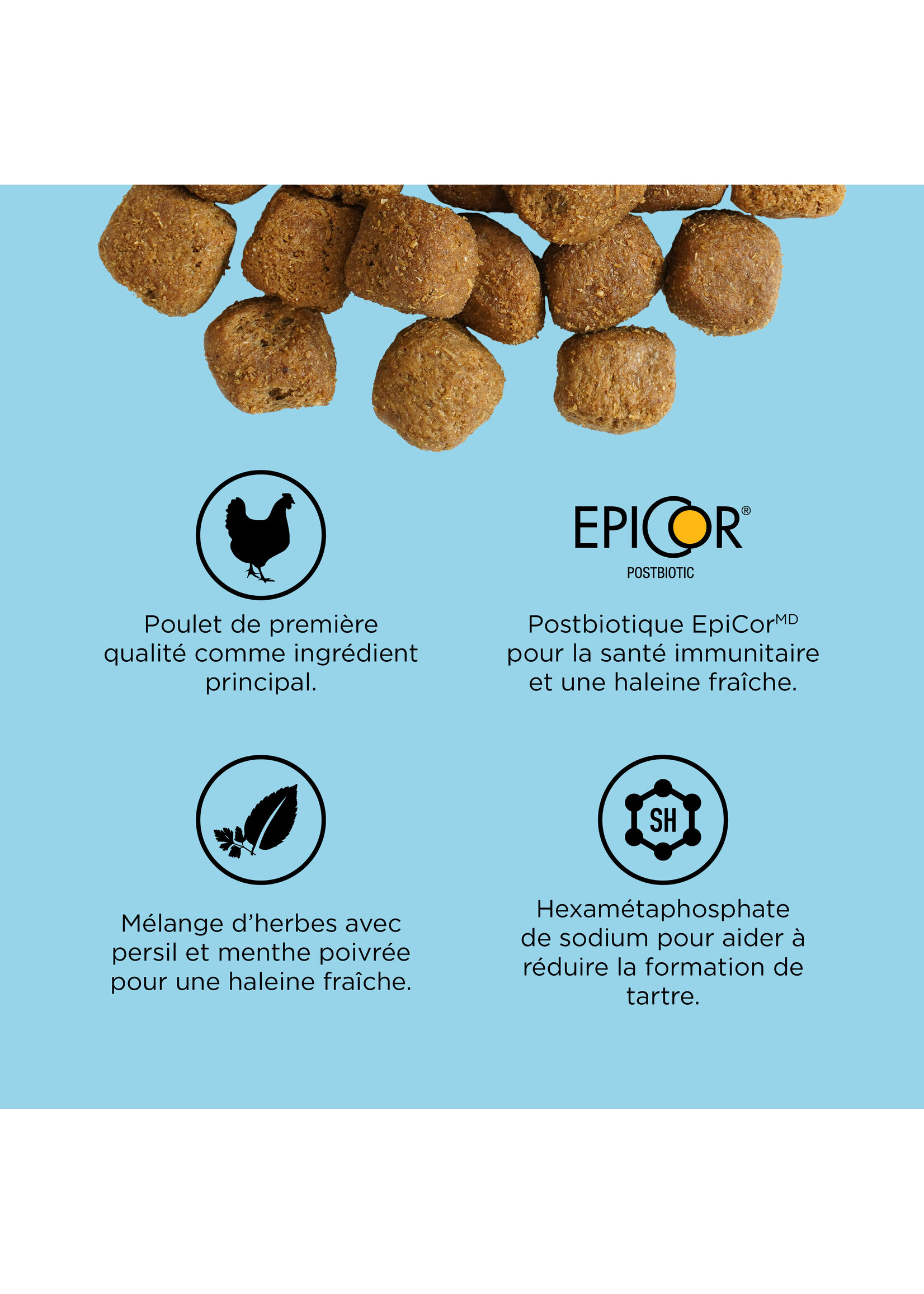 GO! SOLUTIONS PETCUREAN GO! CHAT SANTÉ DENTAIRE ET IMMUNITAIRE POULET ET SAUMON AVEC GRAINS 6 LBS