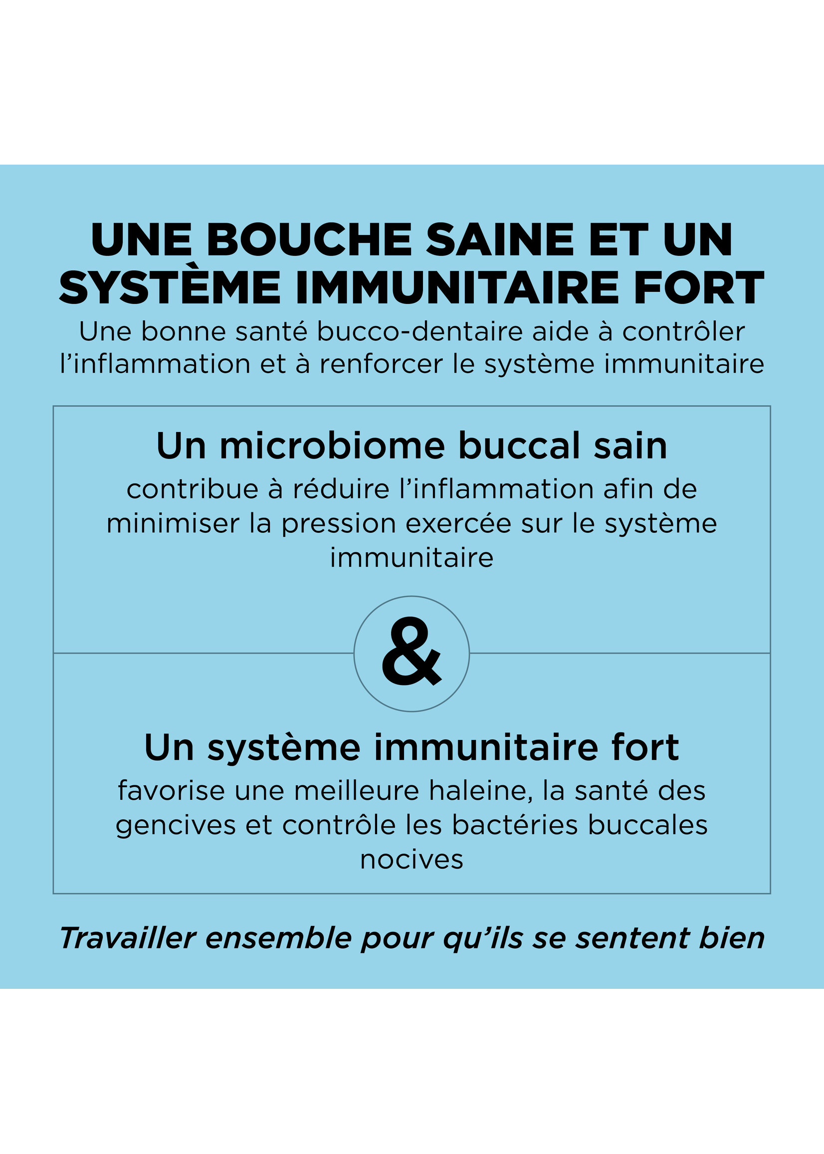 GO! SOLUTIONS PETCUREAN GO! CHAT SANTÉ DENTAIRE ET IMMUNITAIRE POULET ET SAUMON AVEC GRAINS 6 LBS