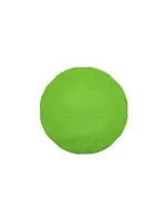 BUD'Z BUD'Z FRISBEE VERT 23 CM