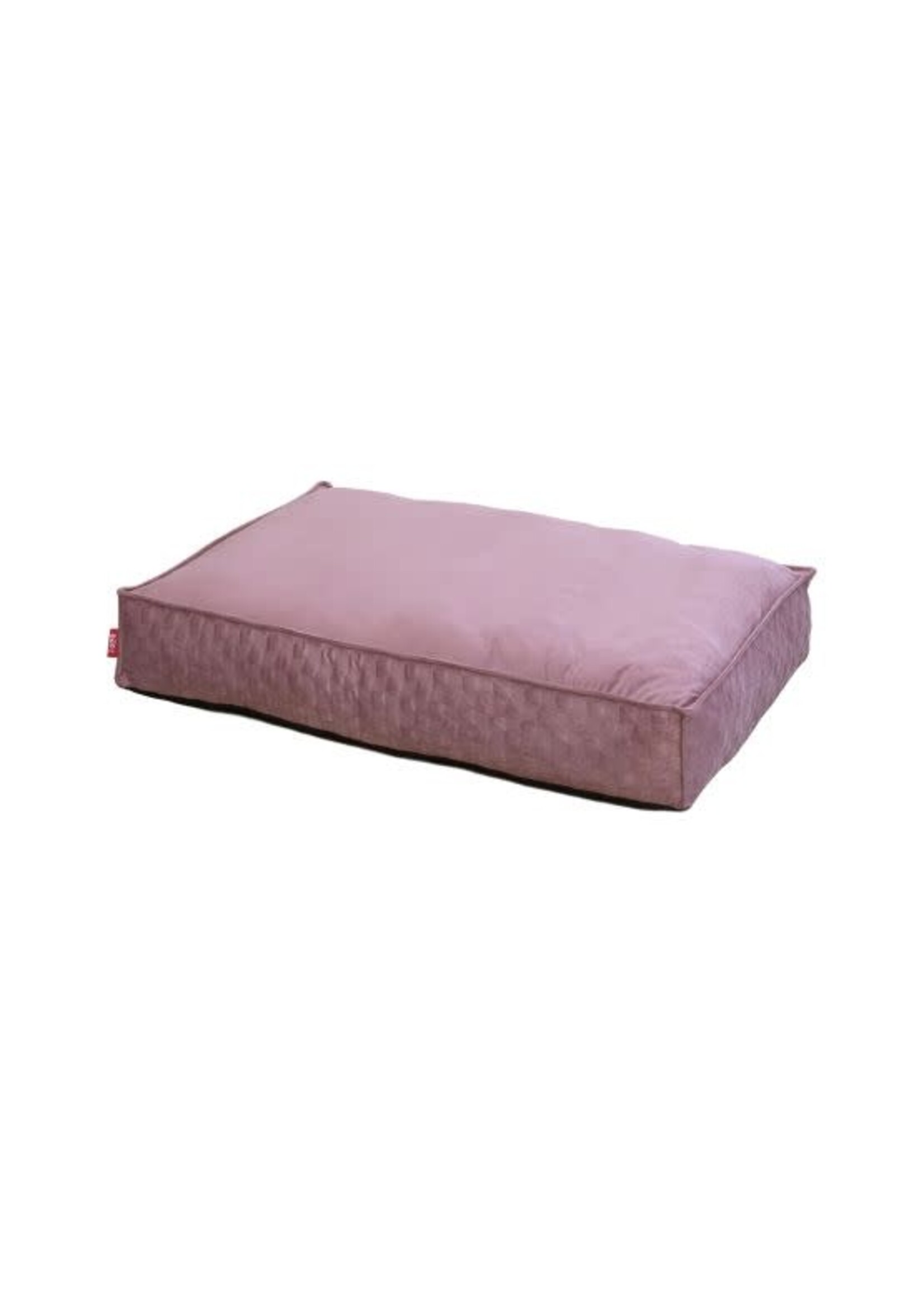 BUD'Z BUD'Z LIT PLAT COSMOS ROSE CHAMPETRE TRES GRAND 100 X 70 X 16 CM