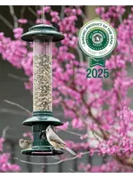 SQUIRREL BUSTER SQUIRREL BUSTER EVOLUTION