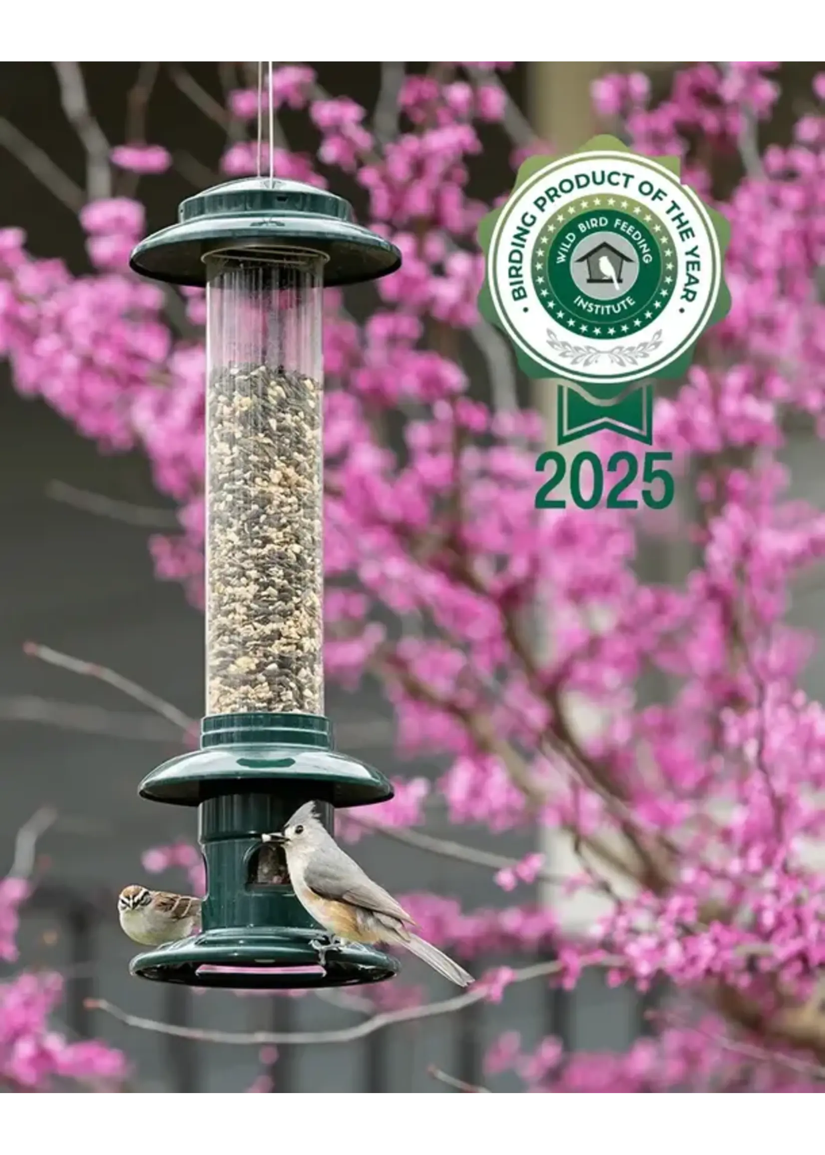 SQUIRREL BUSTER SQUIRREL BUSTER EVOLUTION