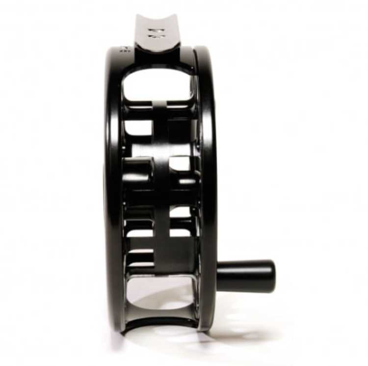 Galvan Galvan Brookie