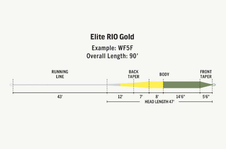 Rio Rio Elite Gold Fly Line