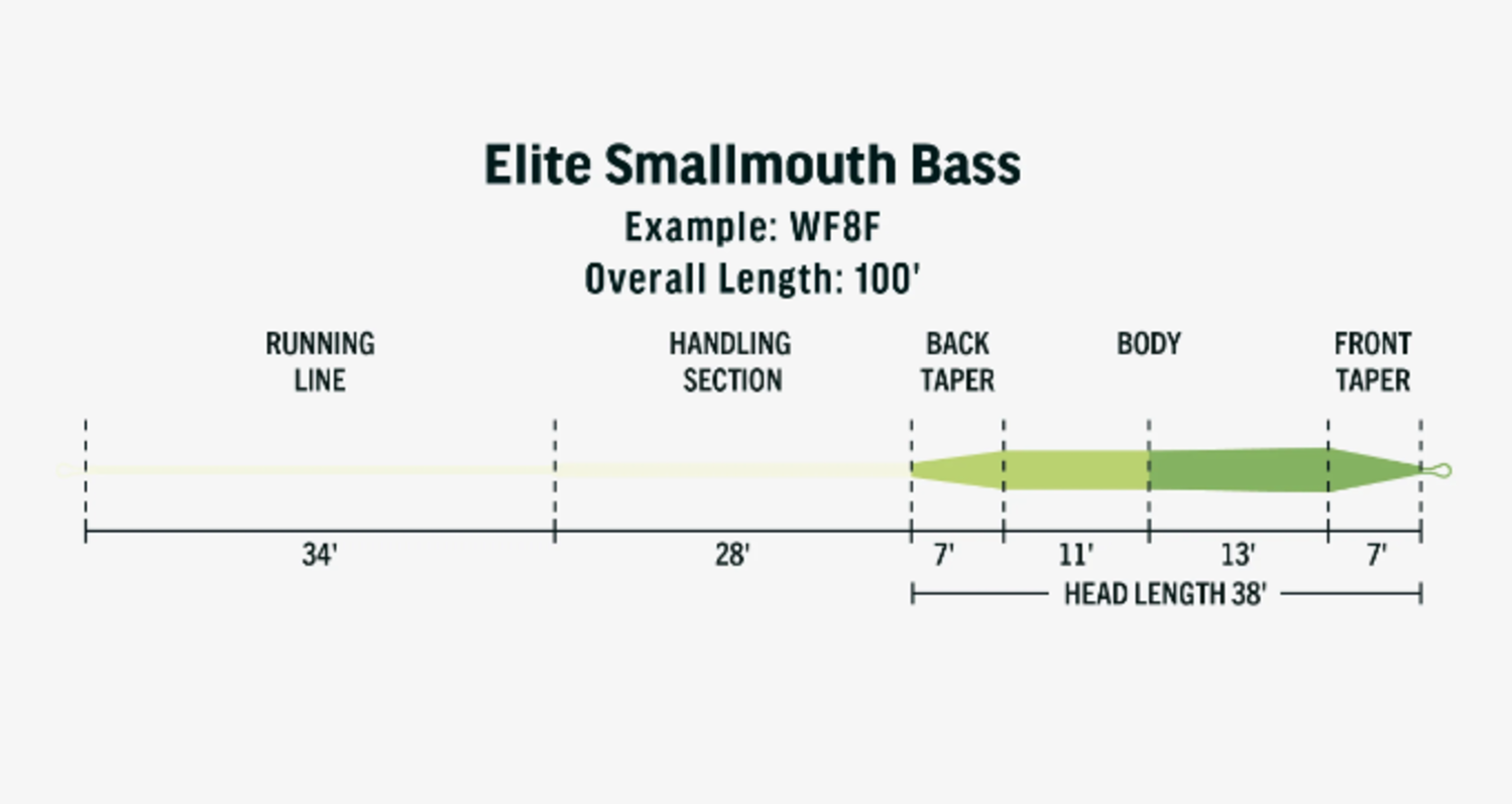 RIO Elite Smallmouth Bass Fly Line - The Fish Hawk