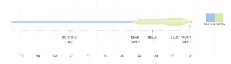 Scientific Angler Sonar Titan Taper Full Intermediate - Blue/Pale Green