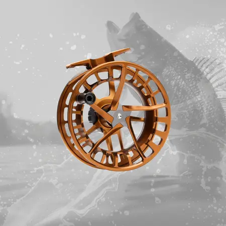  Shop by Species/Technique