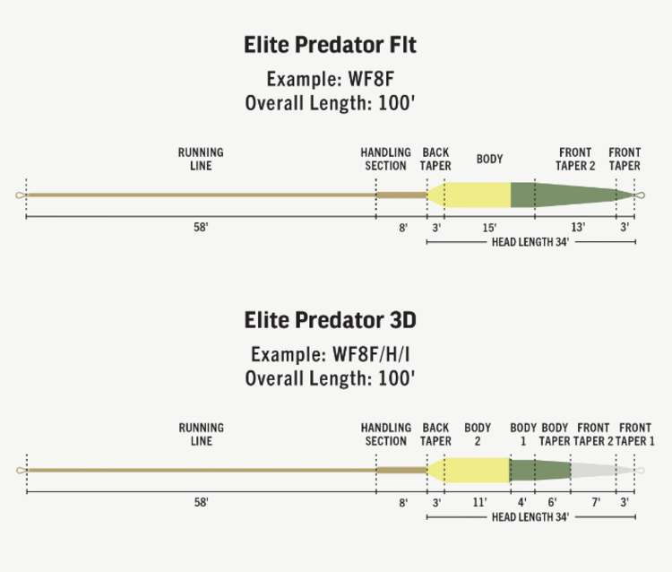 Rio Rio Elite Predator Fly Line